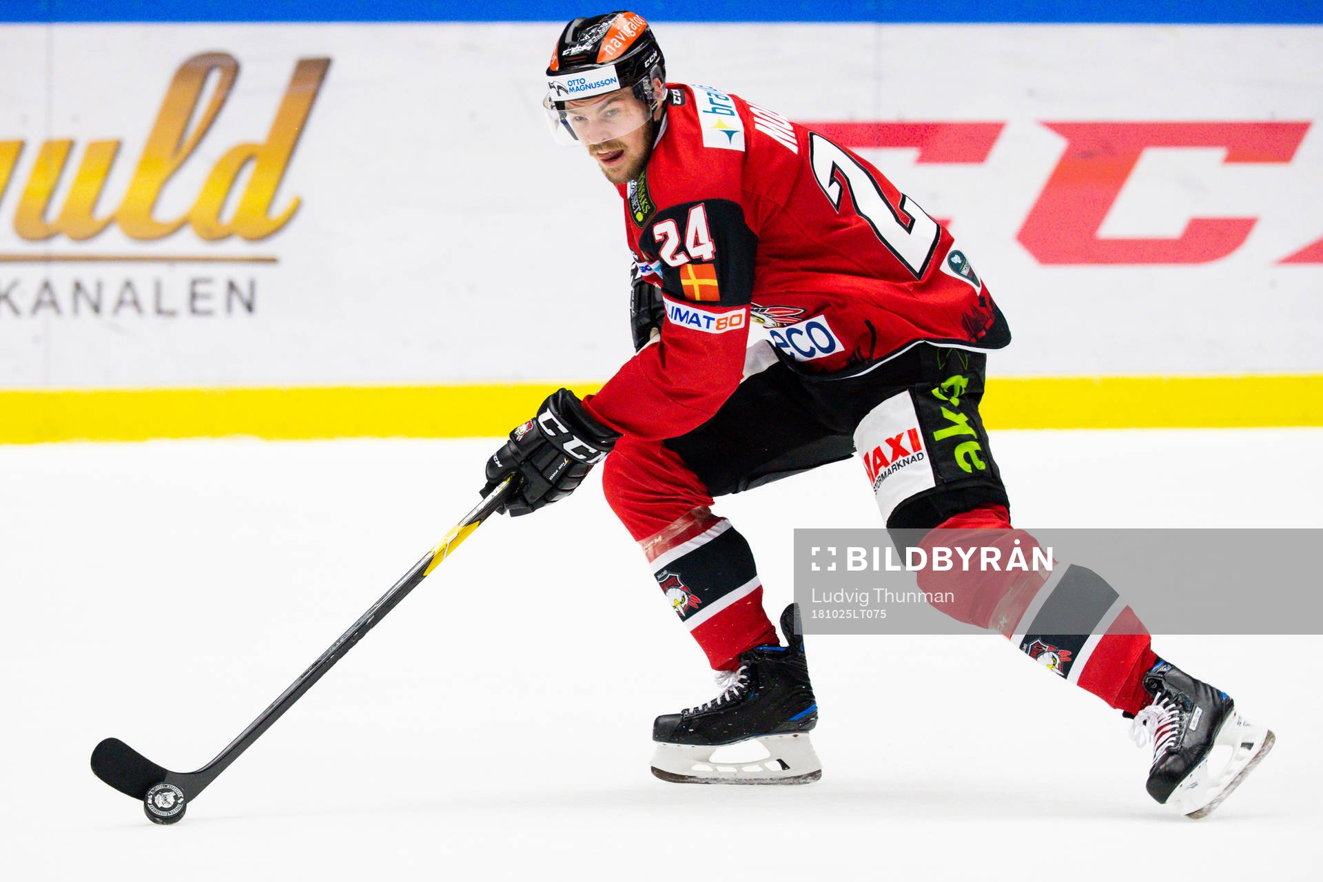 Malmö Redhawks Emil Molin