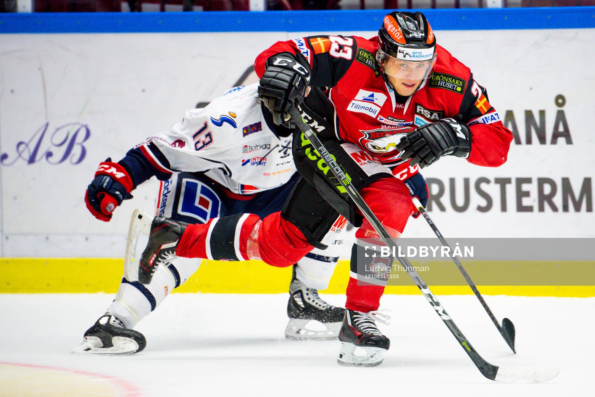 Linköpings Andrew Gordon och Malmö Redhawks Christoffer