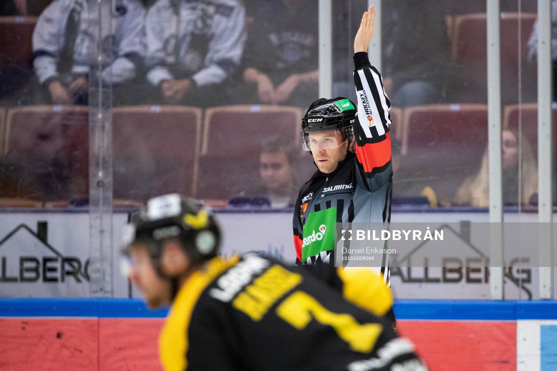 Domare Filip Sandstedt