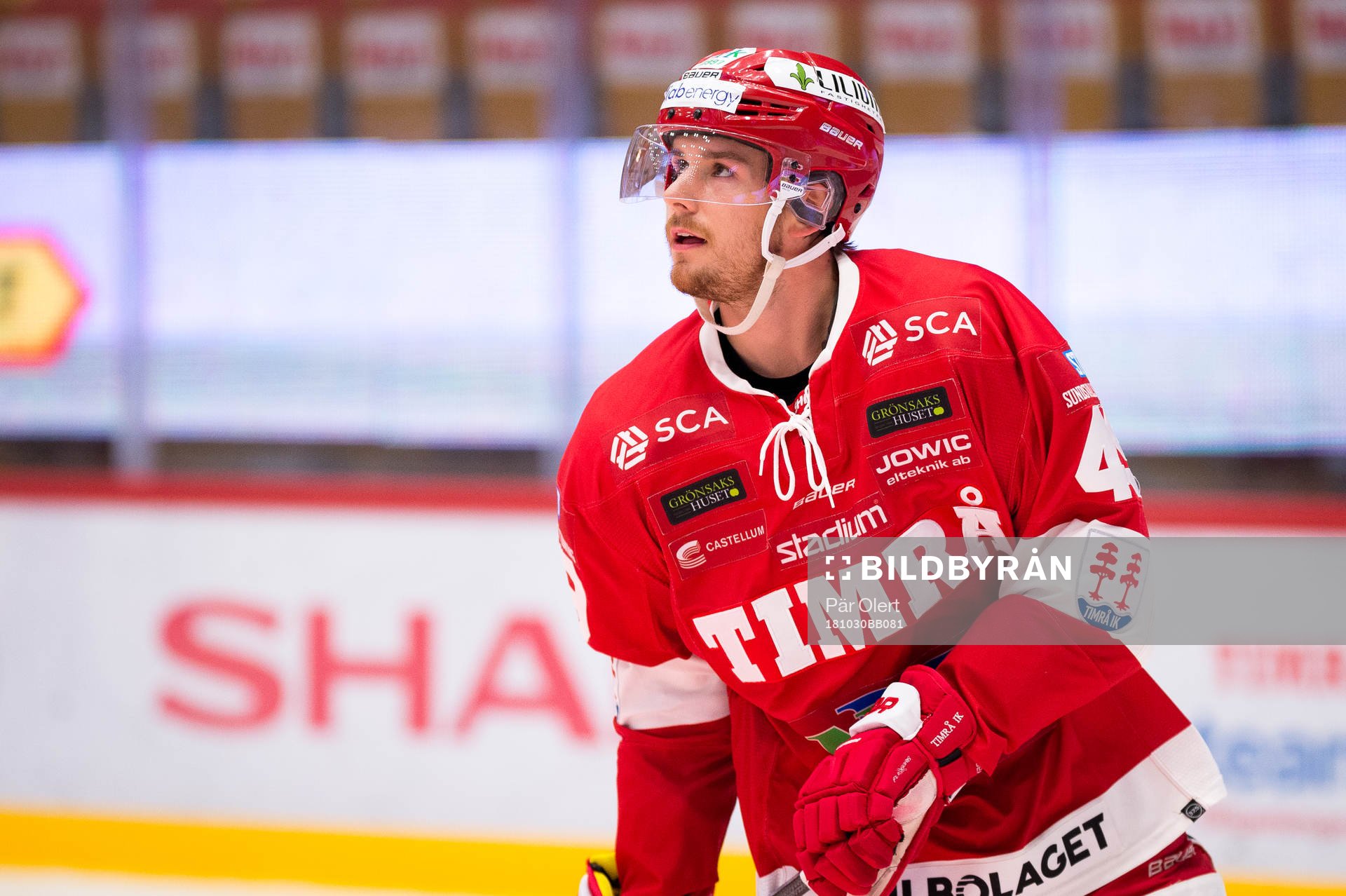 Timrås Sebastian Collberg
