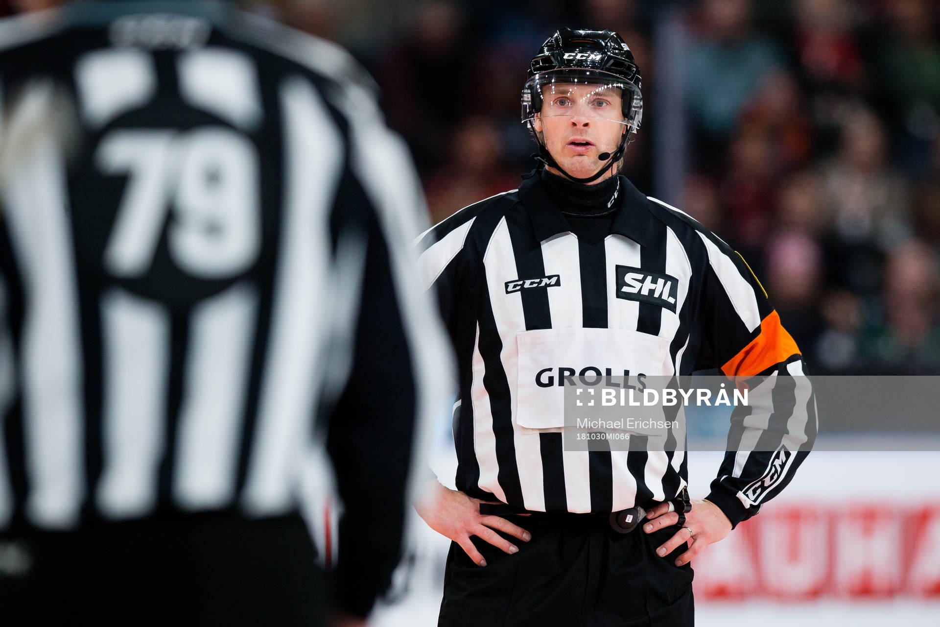 Domare Mikael Andersson