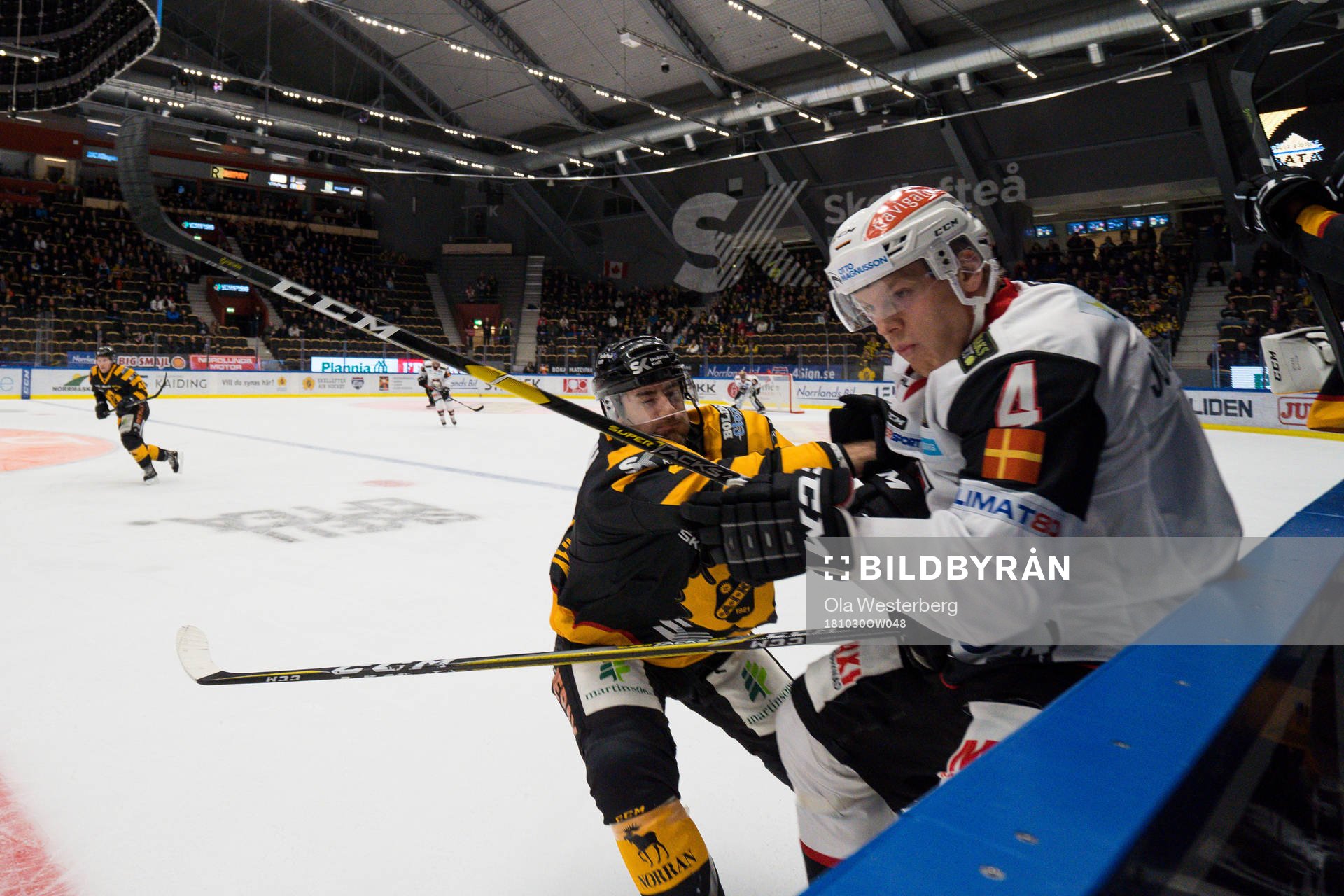 Skellefteås Bud Holloway