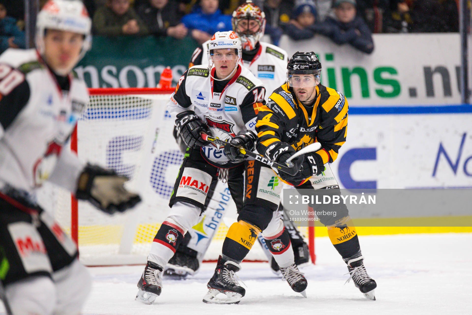 Skellefteås Bud Holloway