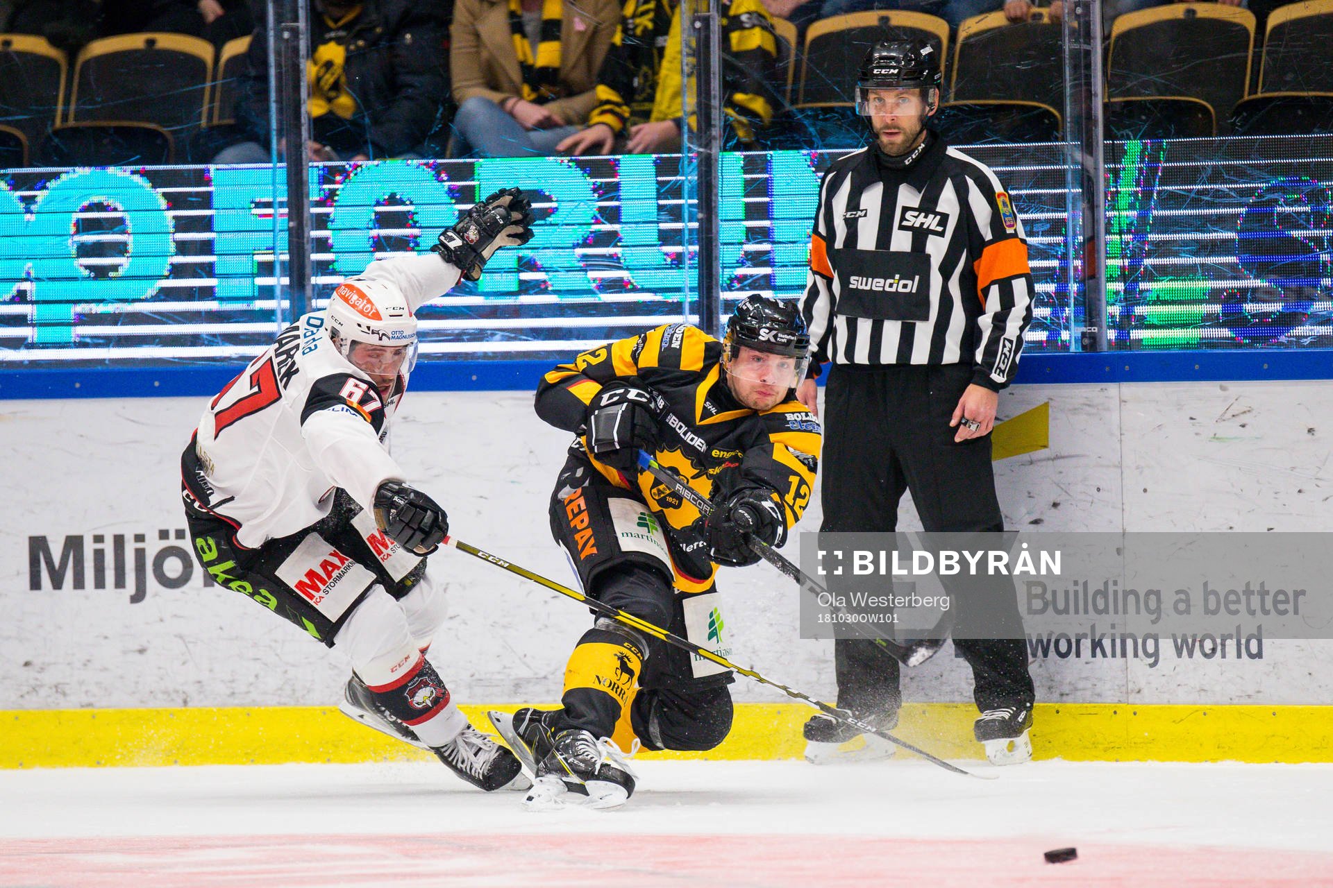 Skellefteås Adam Pettersson