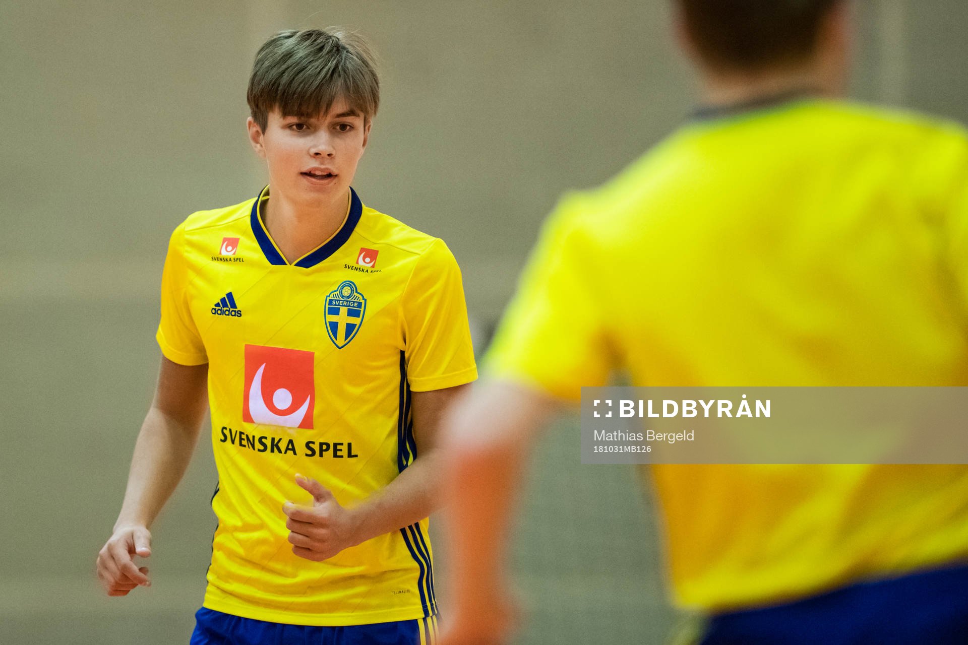 Alex Åman