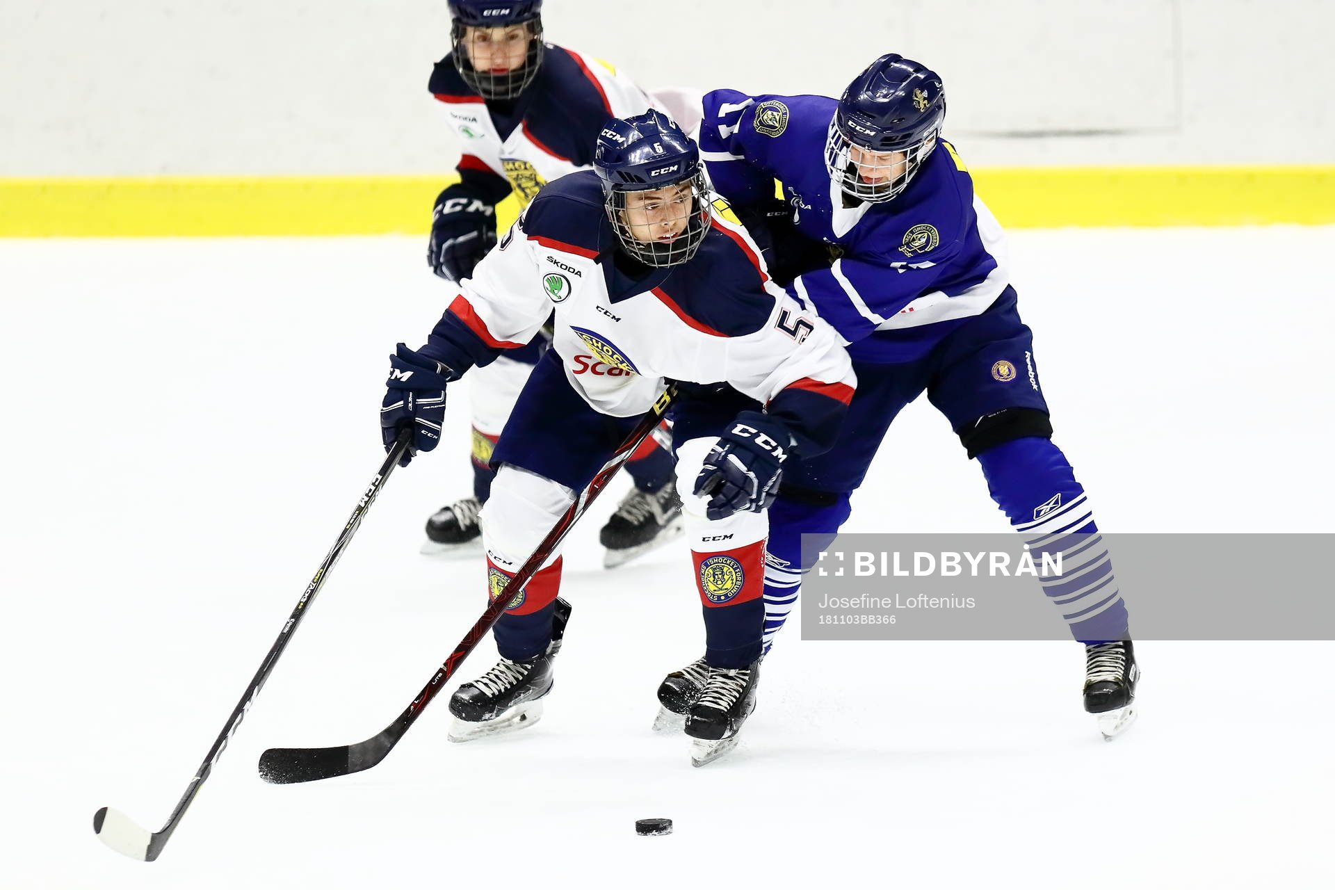 Stockholm Nords Stockholm Nords Kelvin Martinsson