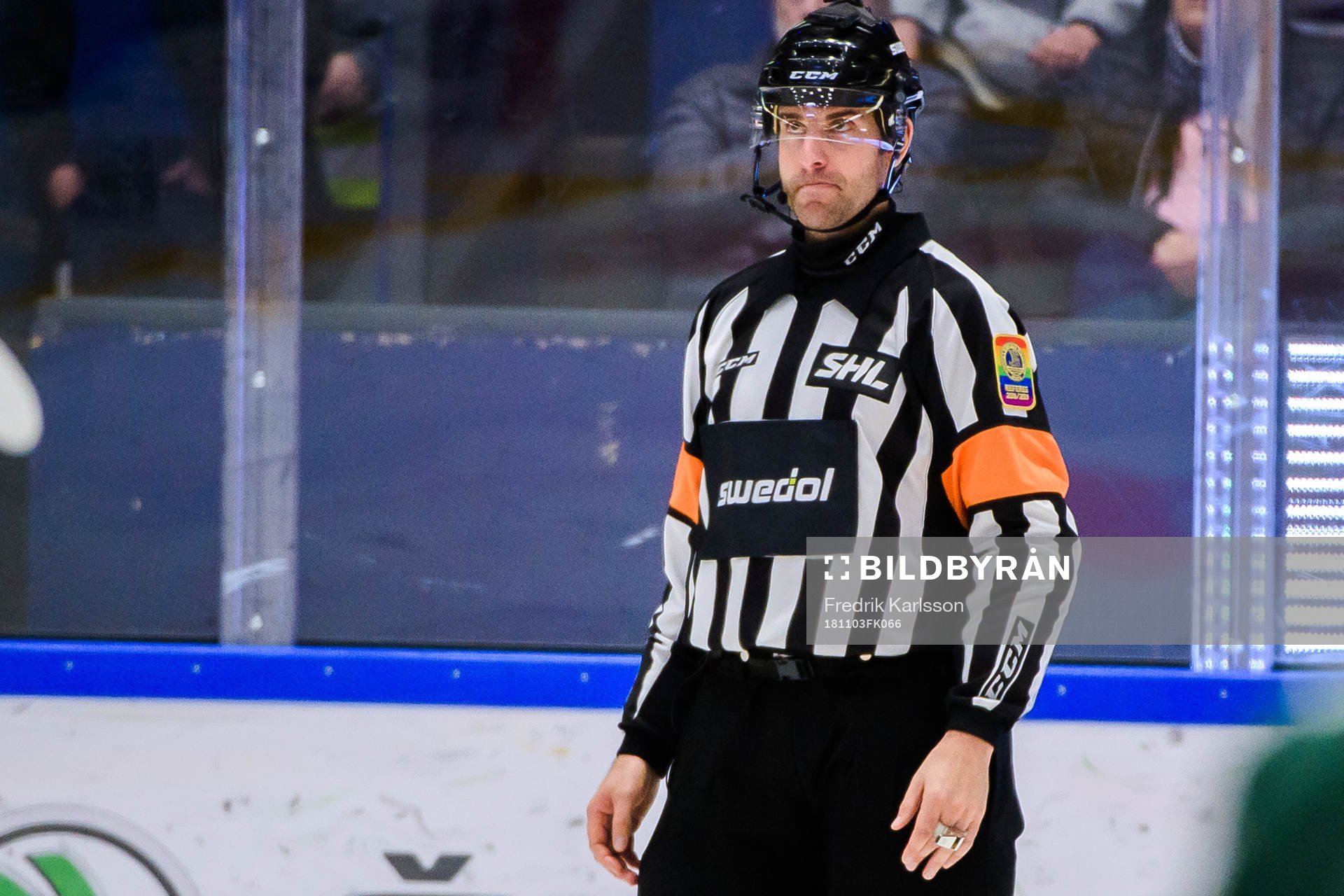 Domare Mikael Sjöqvist