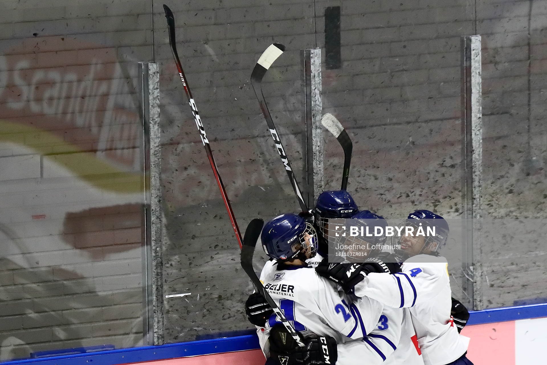 Västerbottens spelare jublar