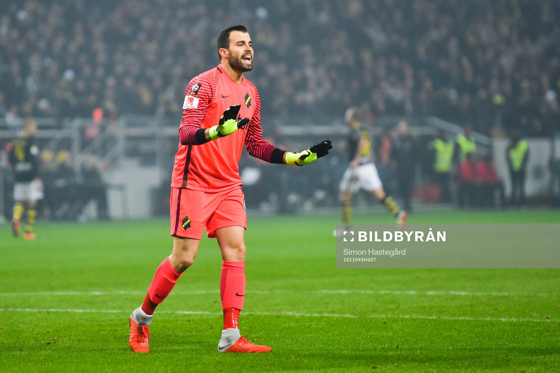 AIK:s målvakt Budimir Janosevic gestikulerar under fotbollsmatchen i Allsvenskan mellan AIK och GIF Sundsvall en 4 november 2018 i Stockholm.