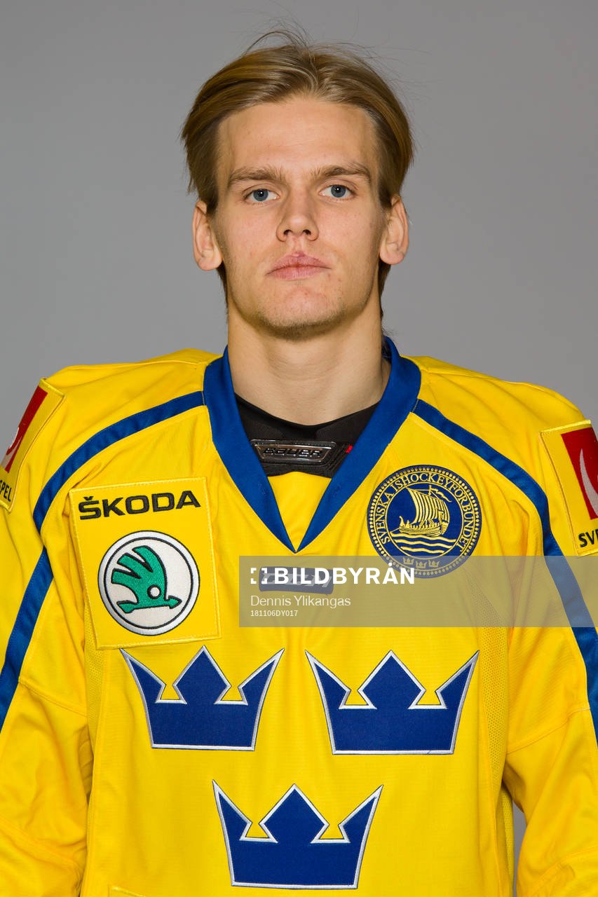 Anton Wedin of Sweden poses for a portrait