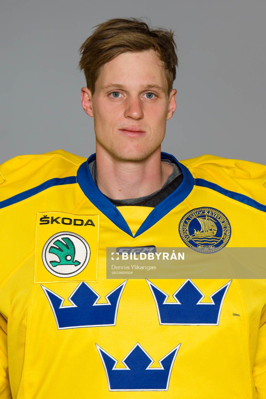 Goalkeeper Lars Johansson of Sweden poses for a portrait