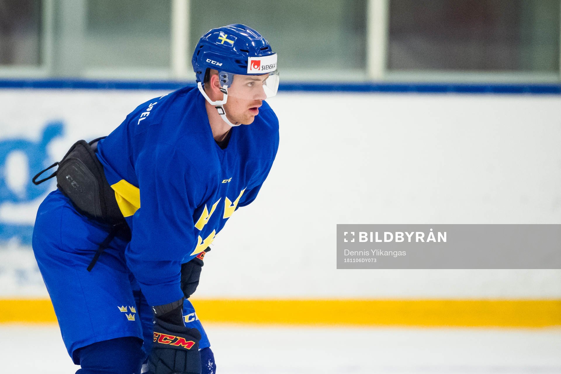 Daniel Brodin