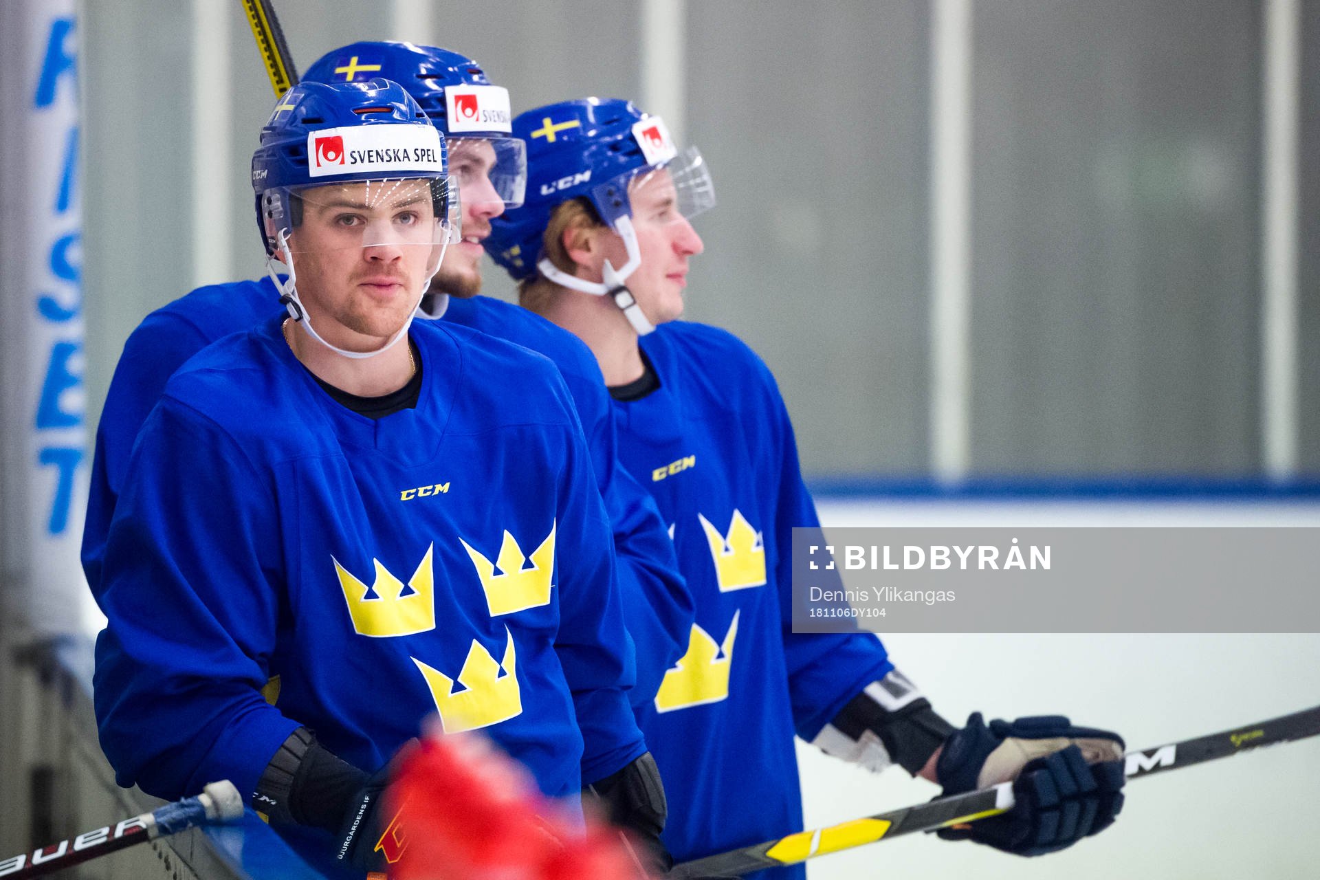 Daniel Brodin