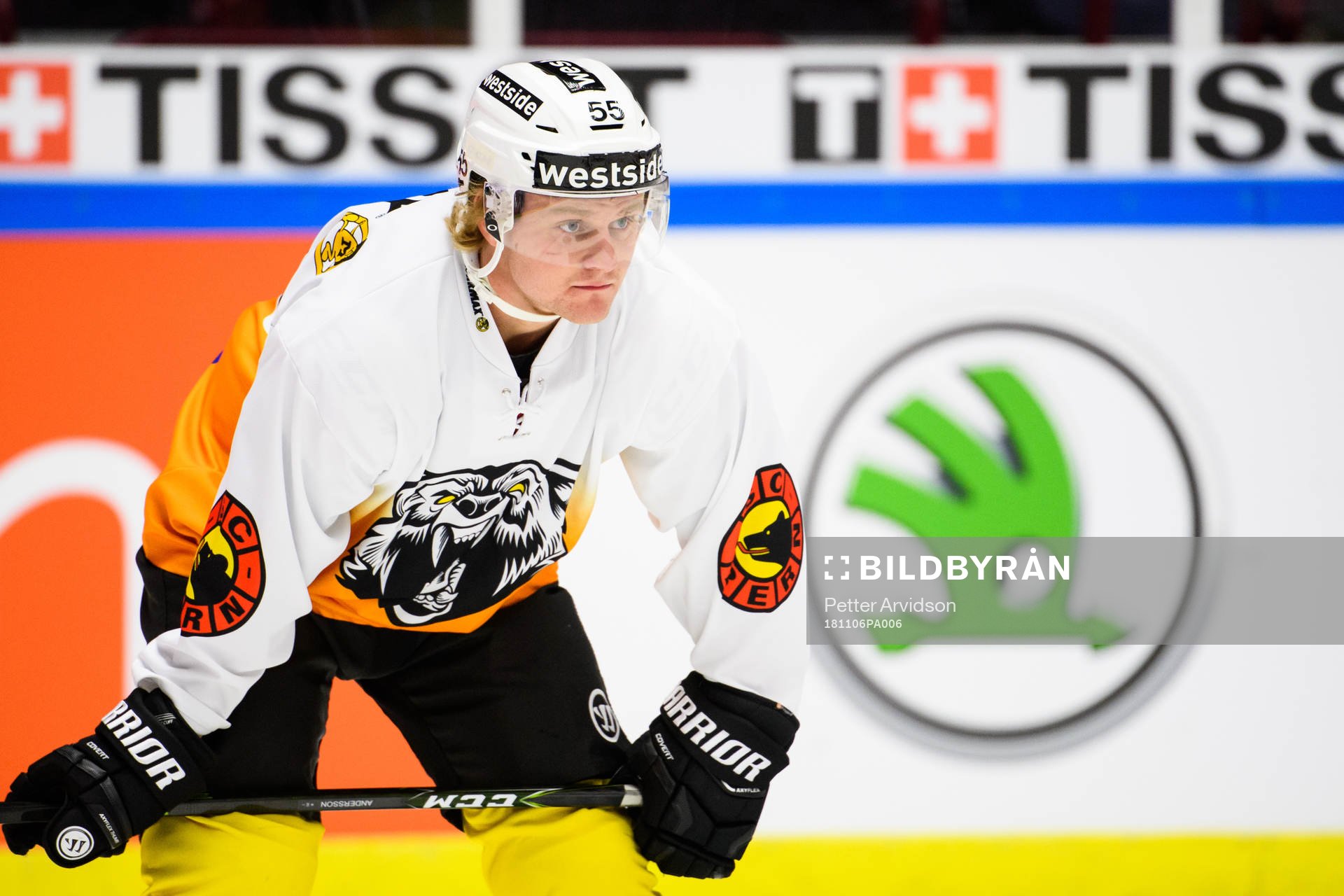 Calle Andersson of Bern
