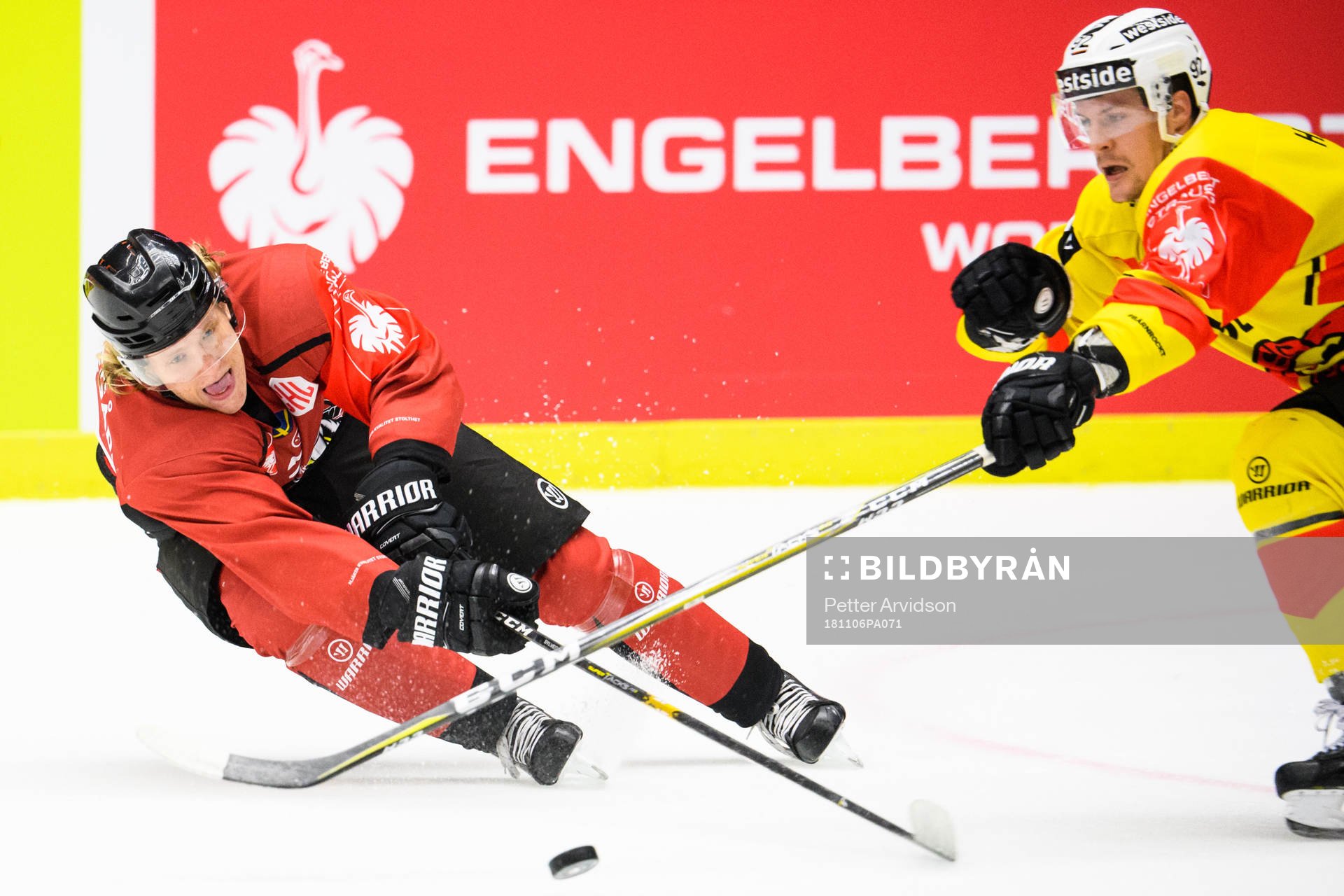 Marcus Sylvegård of Malmö Redhawks and Gaetan Haas of Bern