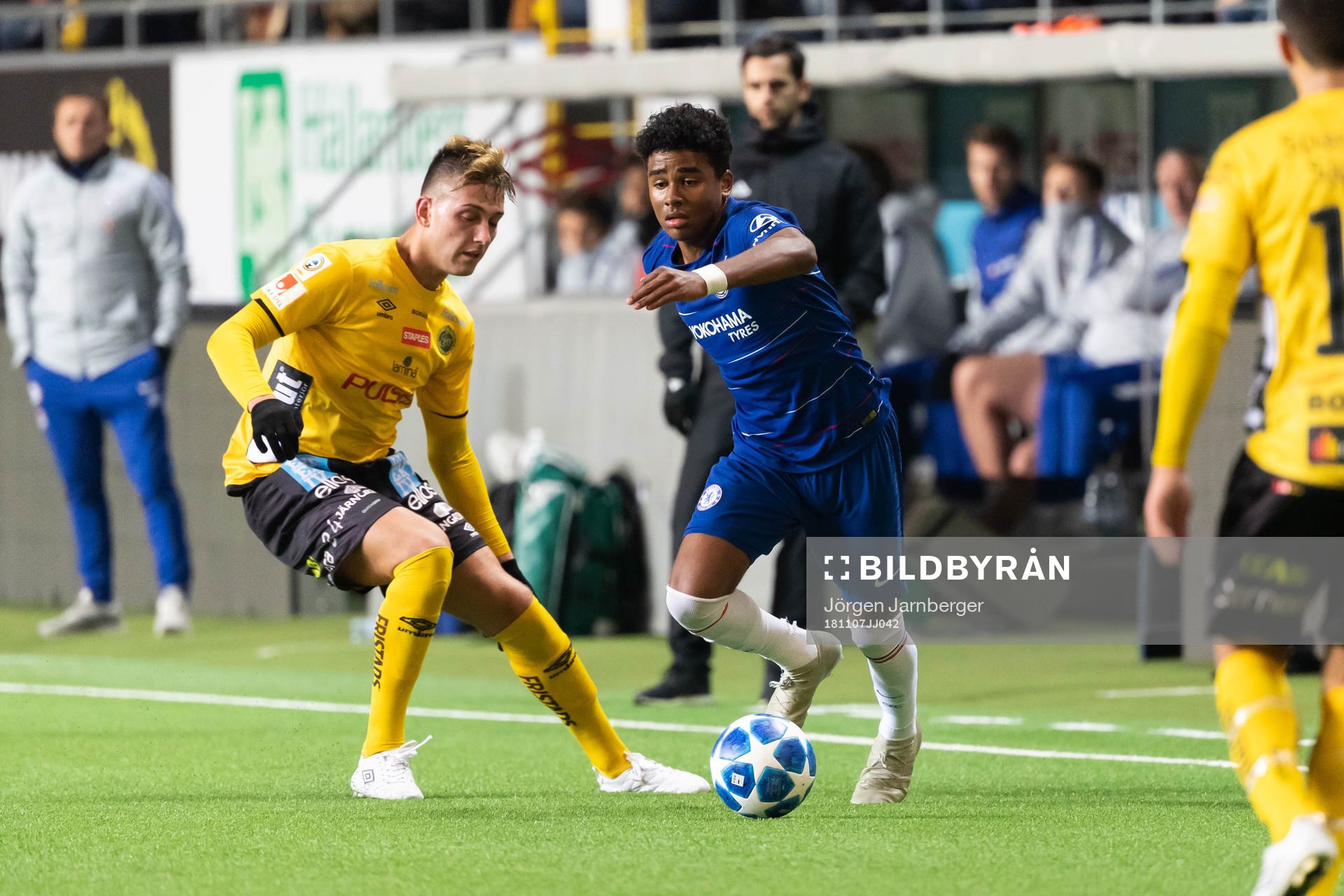 Chelseas Ian Maatsen och Elfsborgs Alexsandar Ceganjac