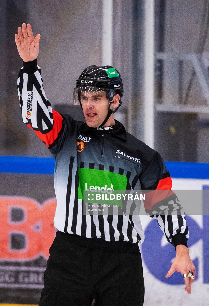 Domaren Richard Magnusson