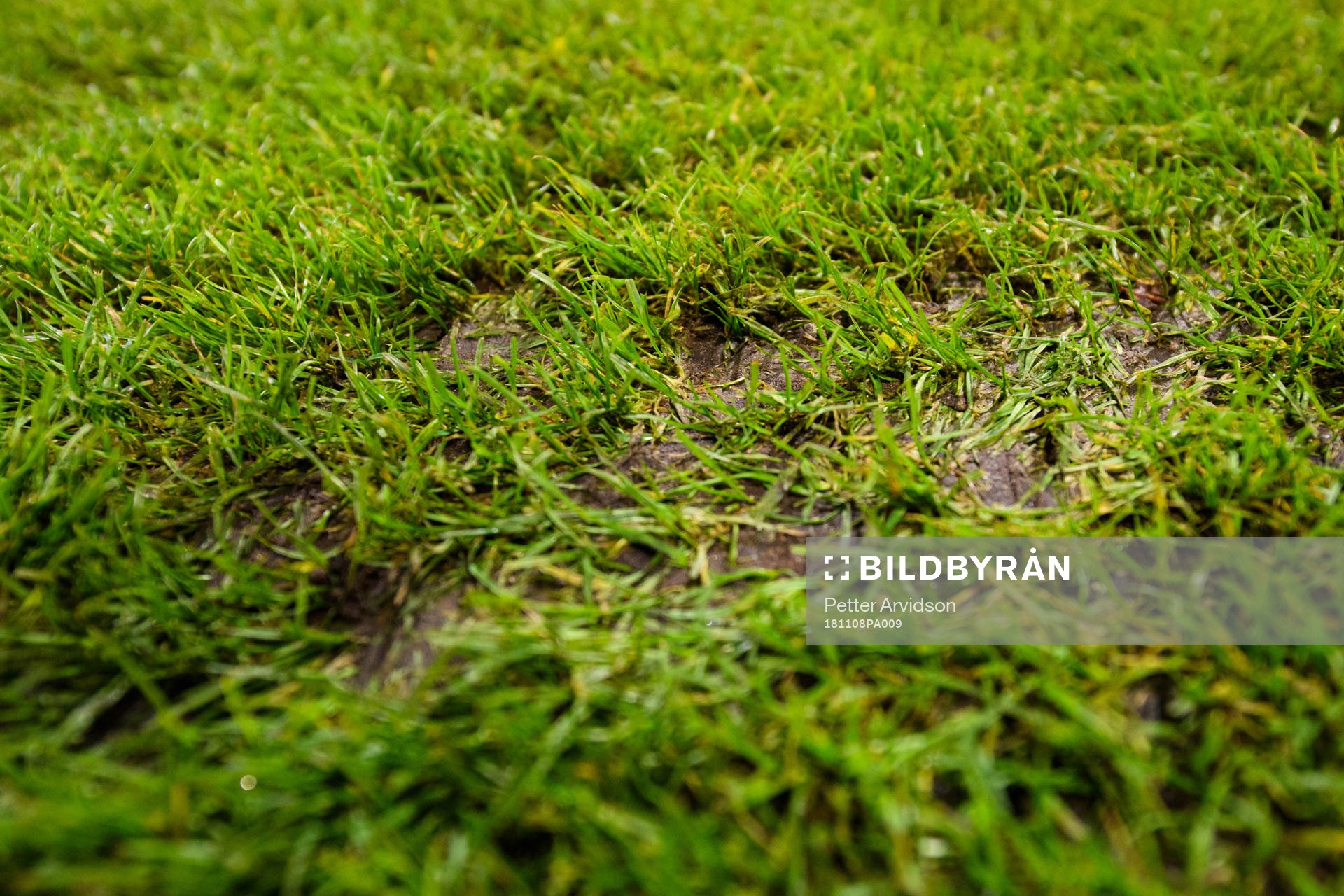 Quality of the grass prior to the Europa League group stage