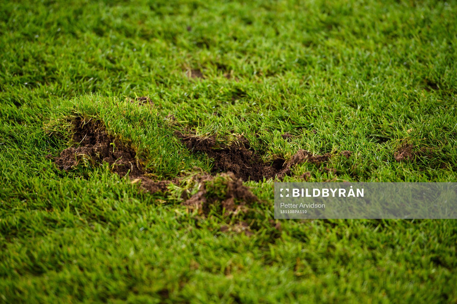 Marks in the grass