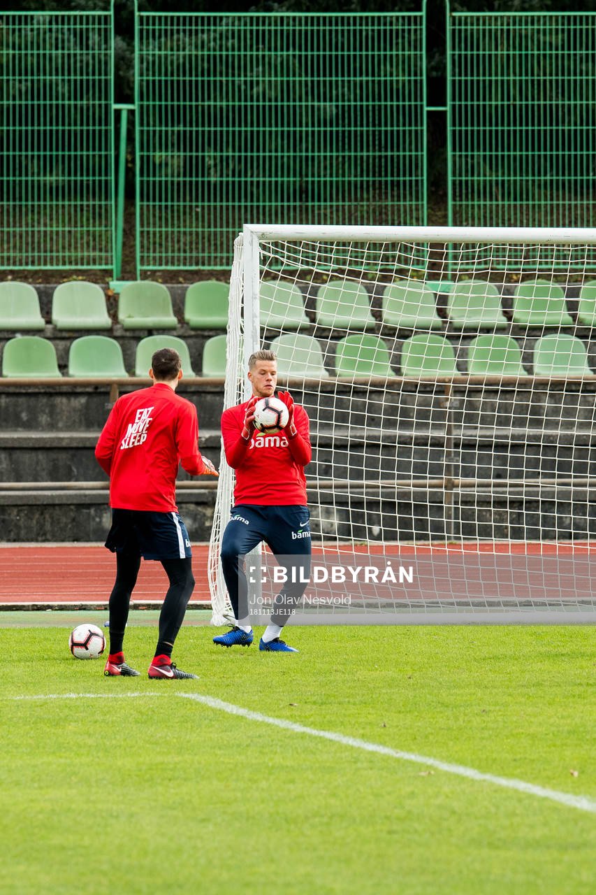 Goalkeeper Ørjan Håskjold Nyland of Norway