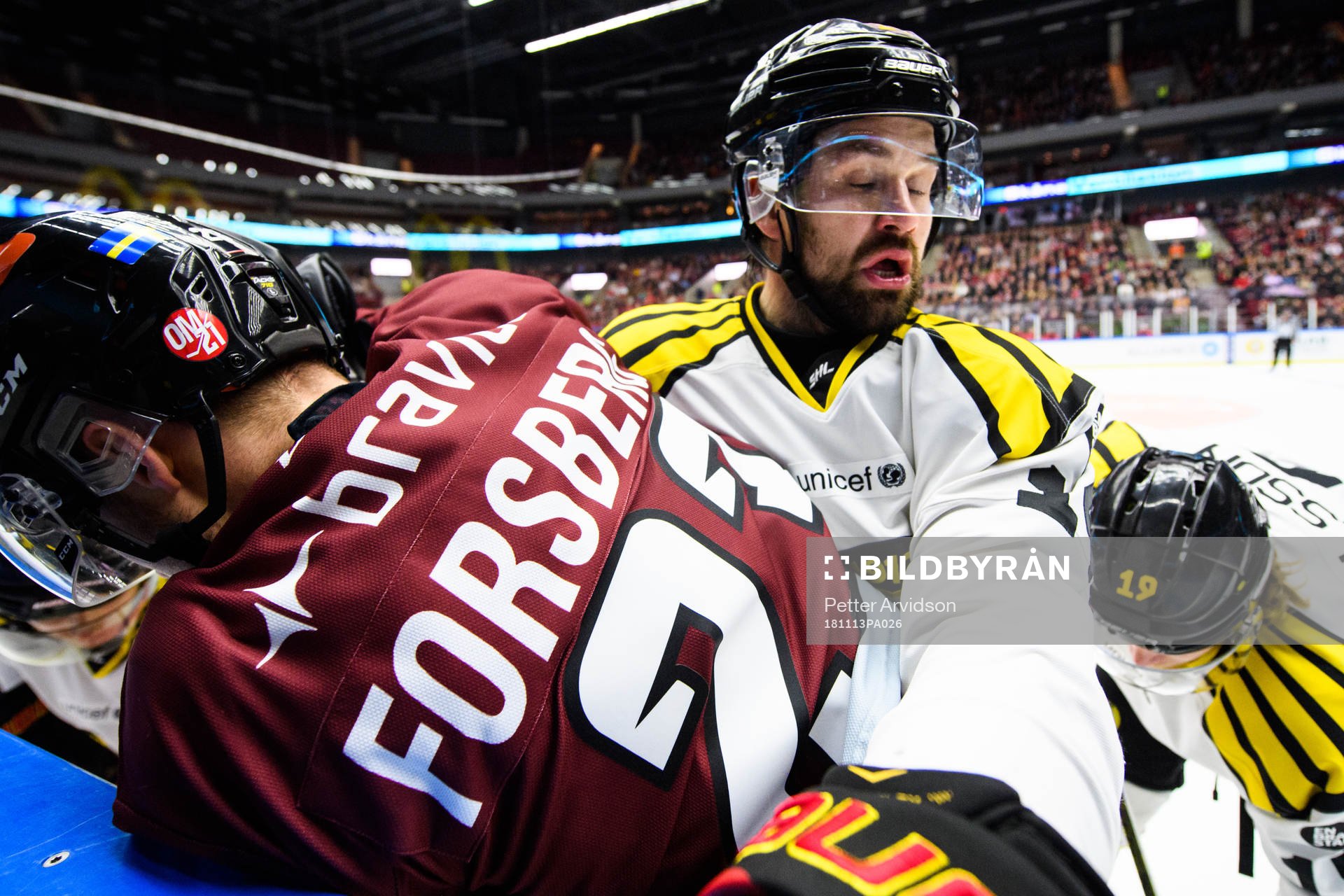 Brynäs Johan Alcén
