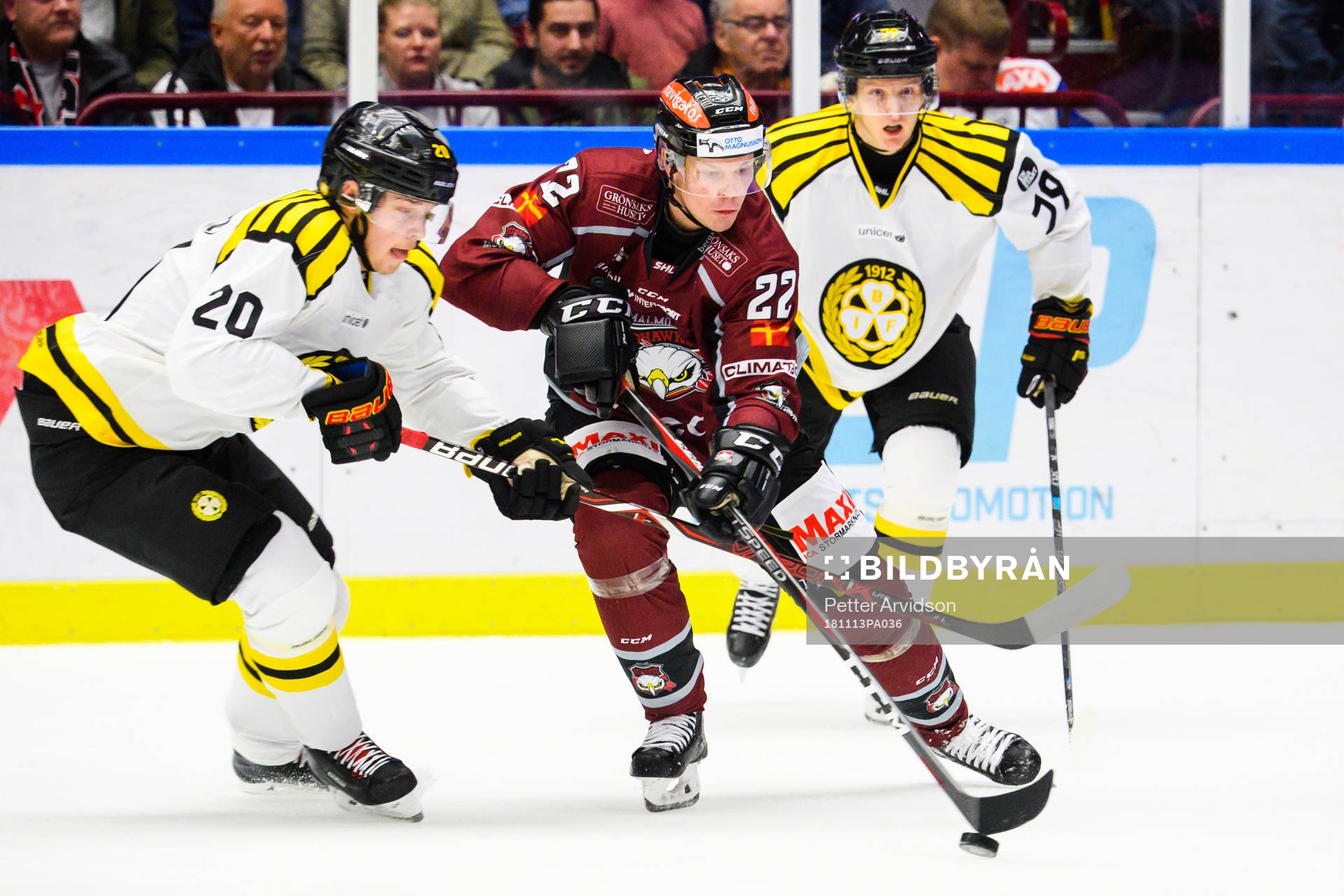 Malmö Redhawks Lars Bryggman