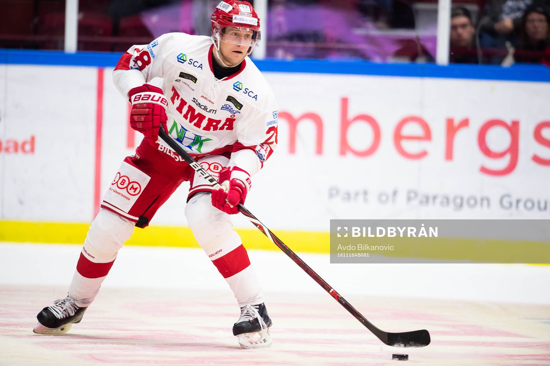 Timrås David Printz