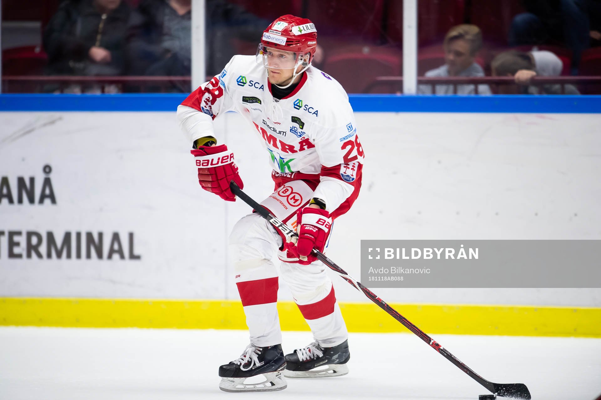 Timrås David Printz