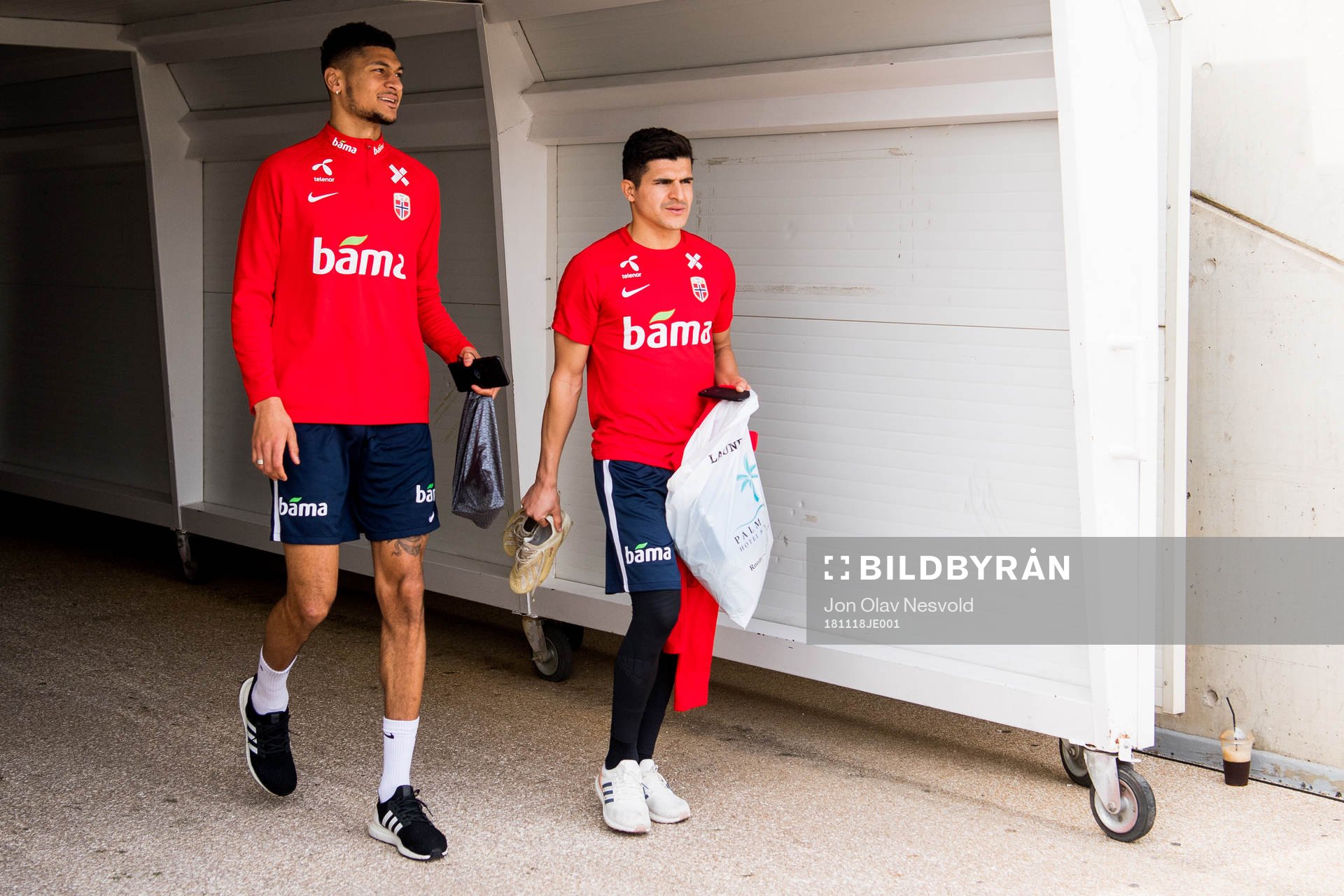 Bjørn Maars Johnsen and Tarik Elyounoussi of Norway