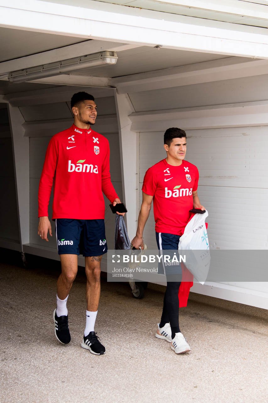 Bjørn Maars Johnsen and Tarik Elyounoussi of Norway