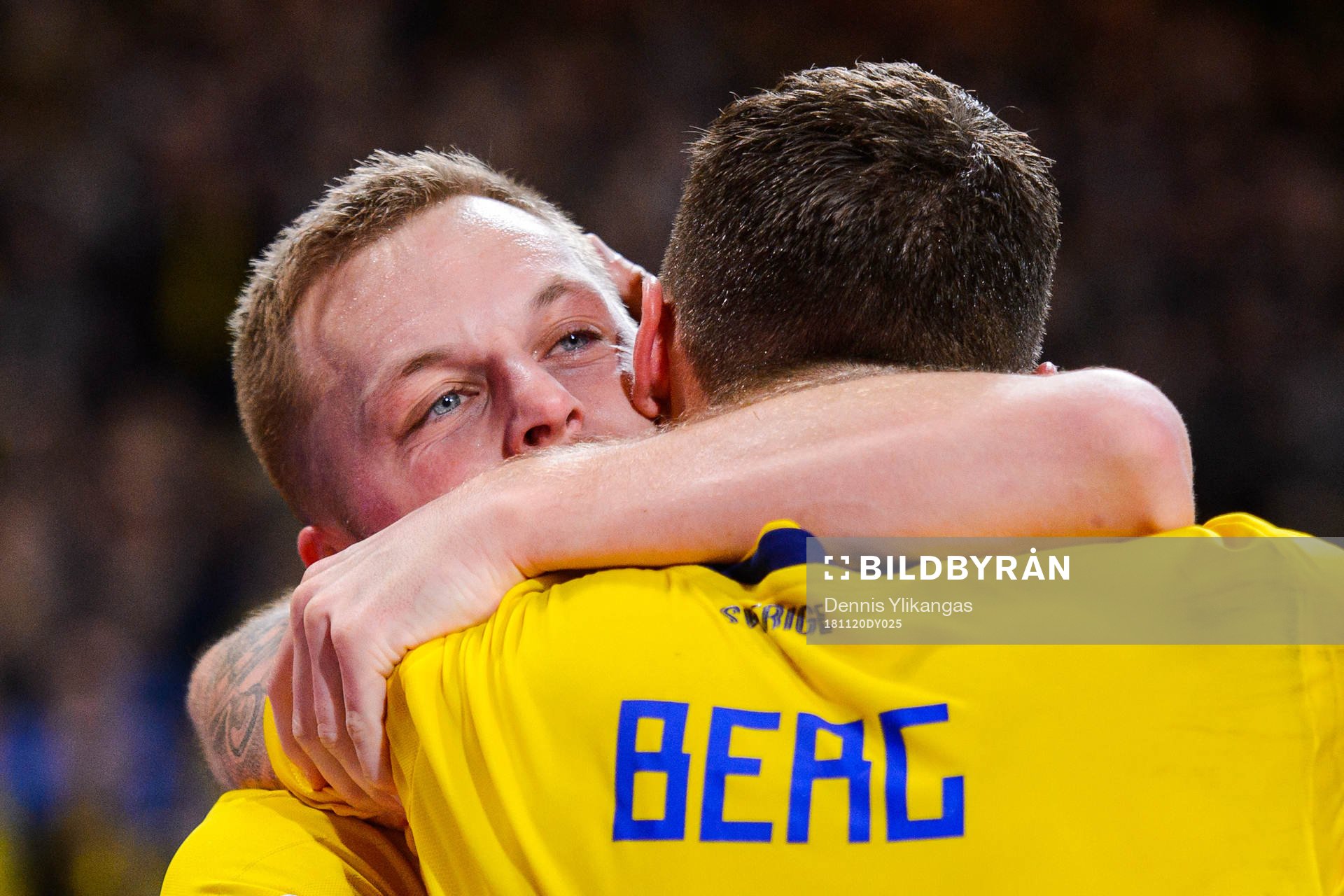 Sebastian Larsson and Marcus Berg of Sweden celebrates
