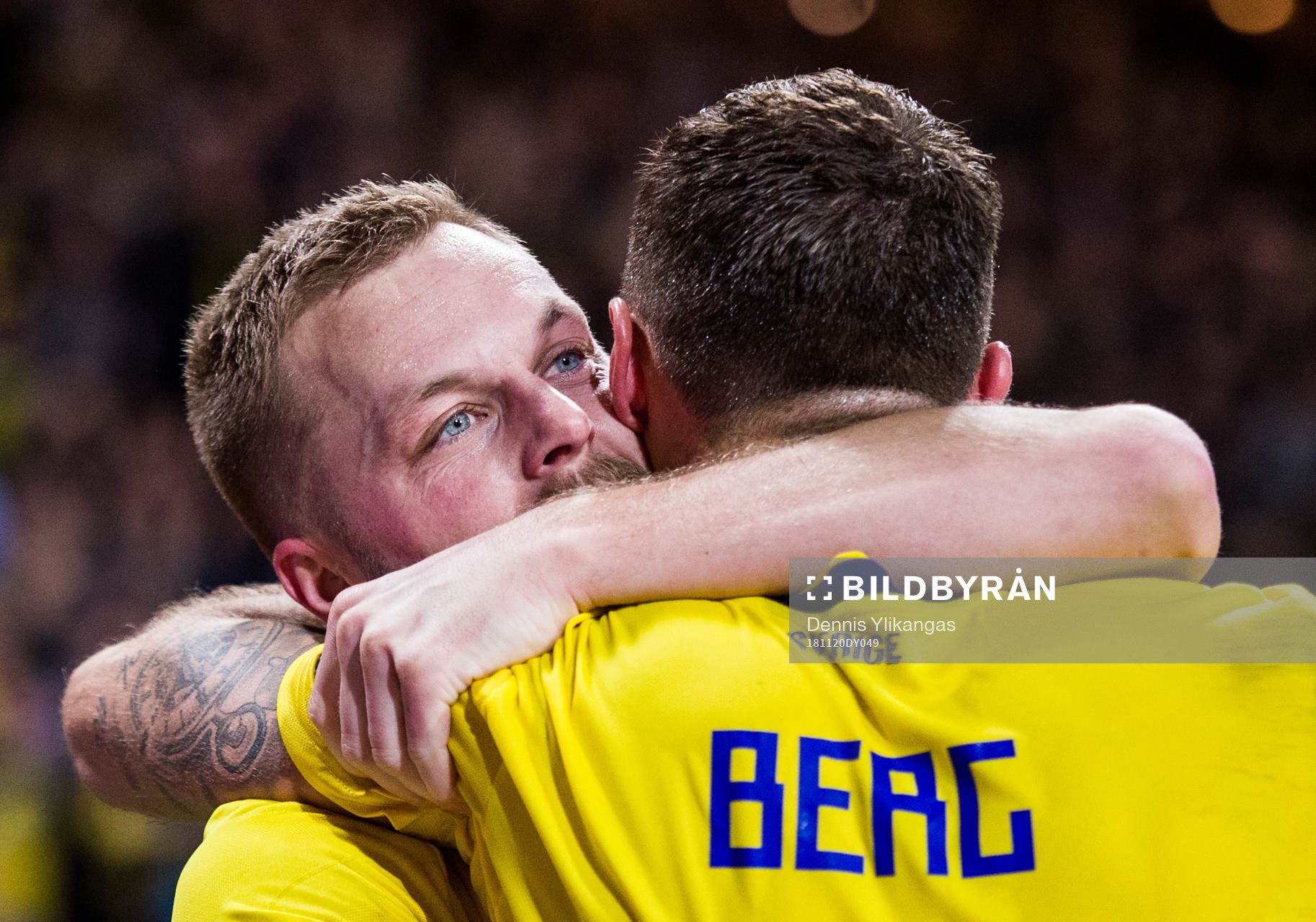 Marcus Berg of Sweden celebrates with his teammate