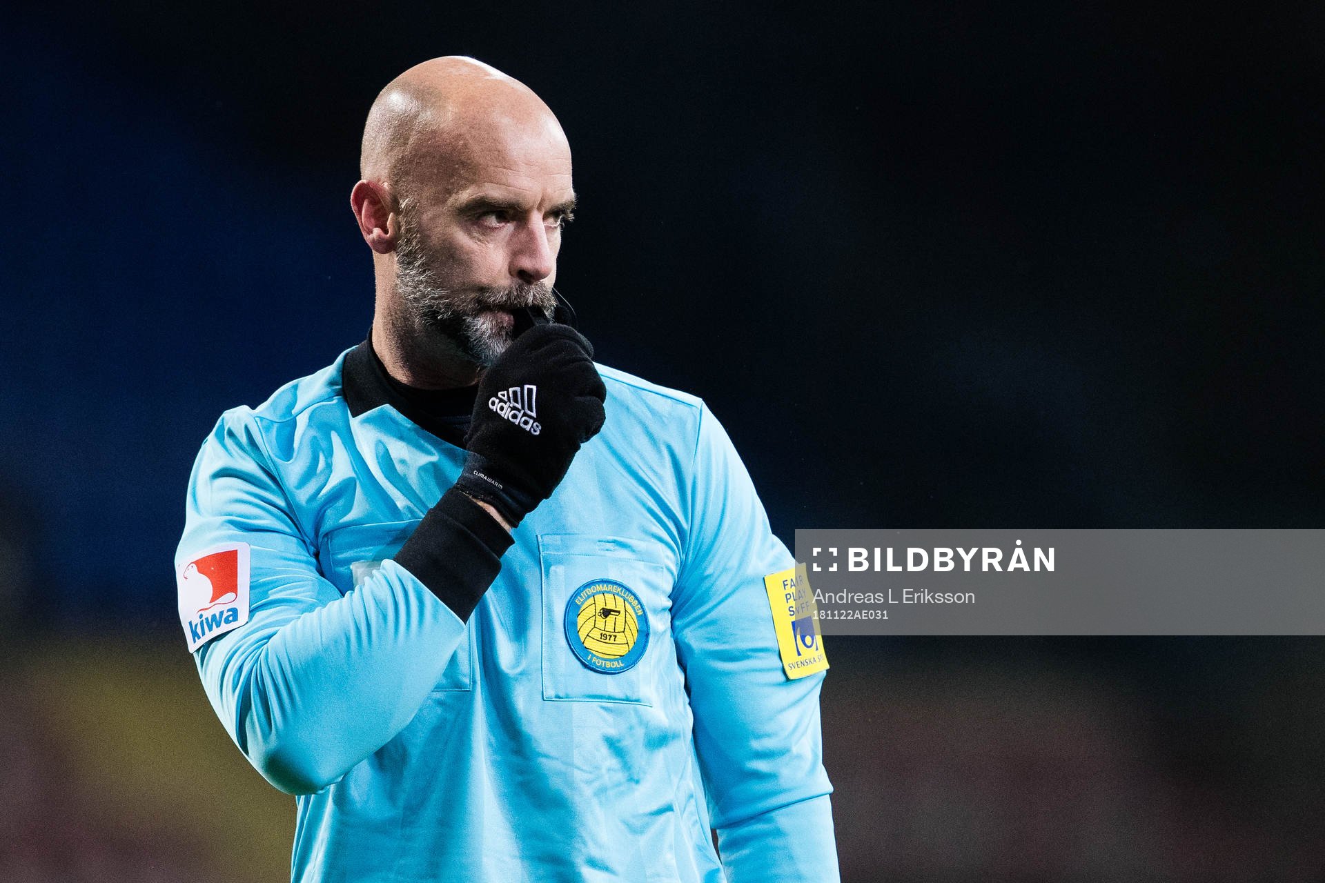 Domare Stefan Johannesson