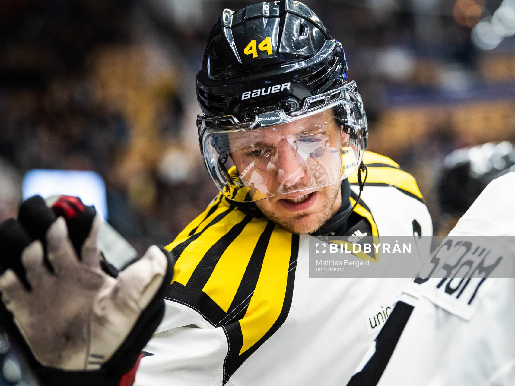 Brynäs Jacob Blomqvist