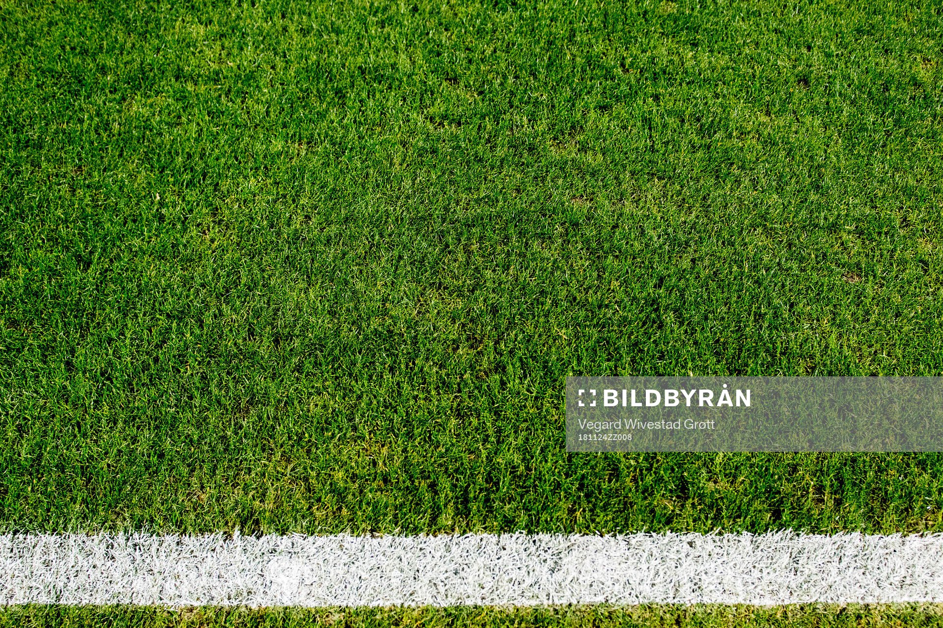The pitch
