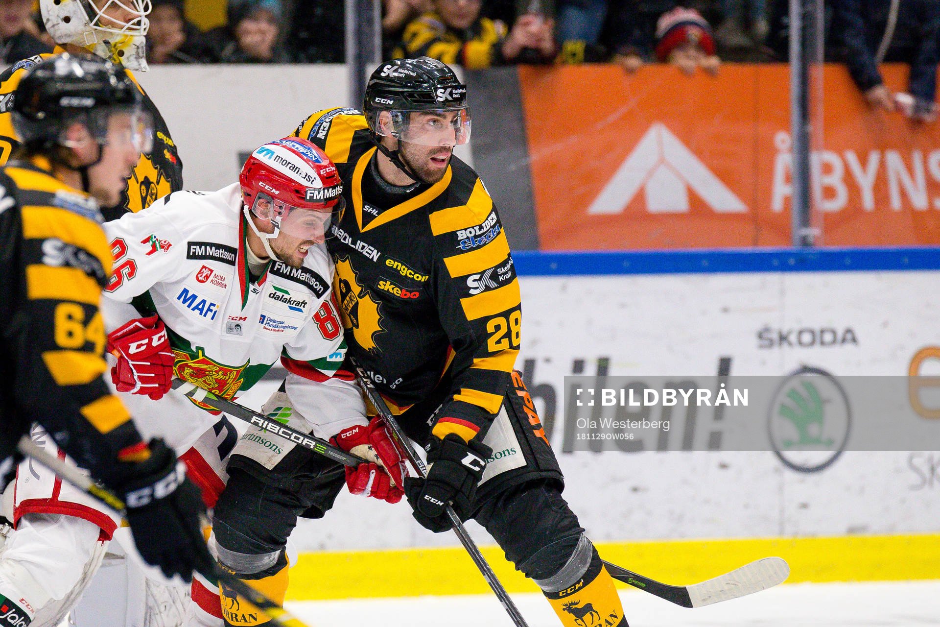 Skellefteås Johan Alm