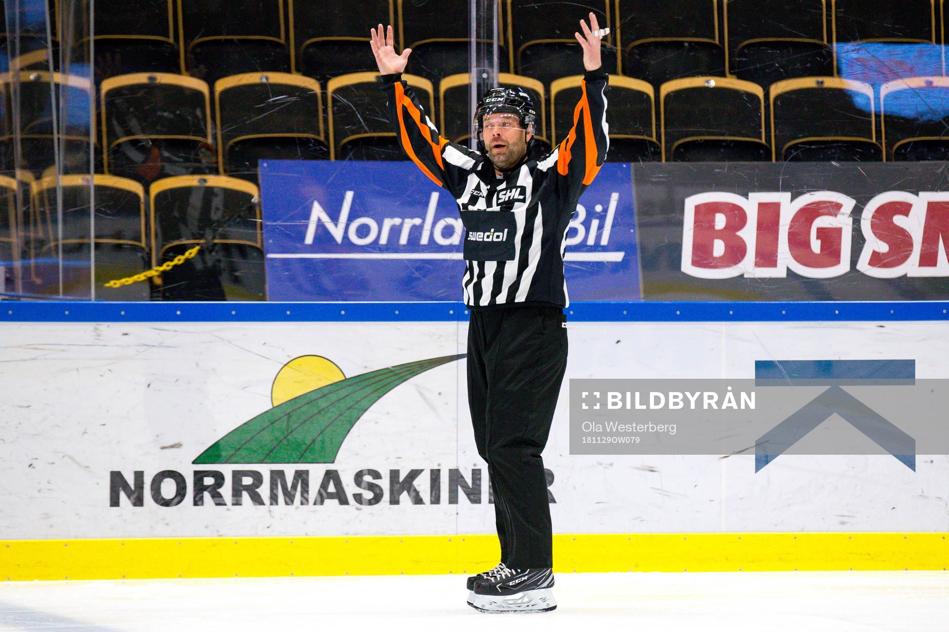 Domare Patrik Sjöberg