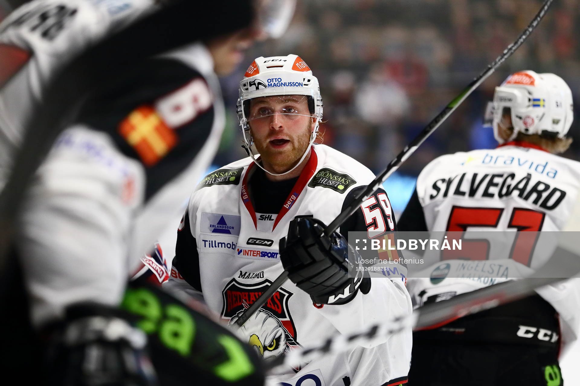Malmö Redhawks Anton Mylläri