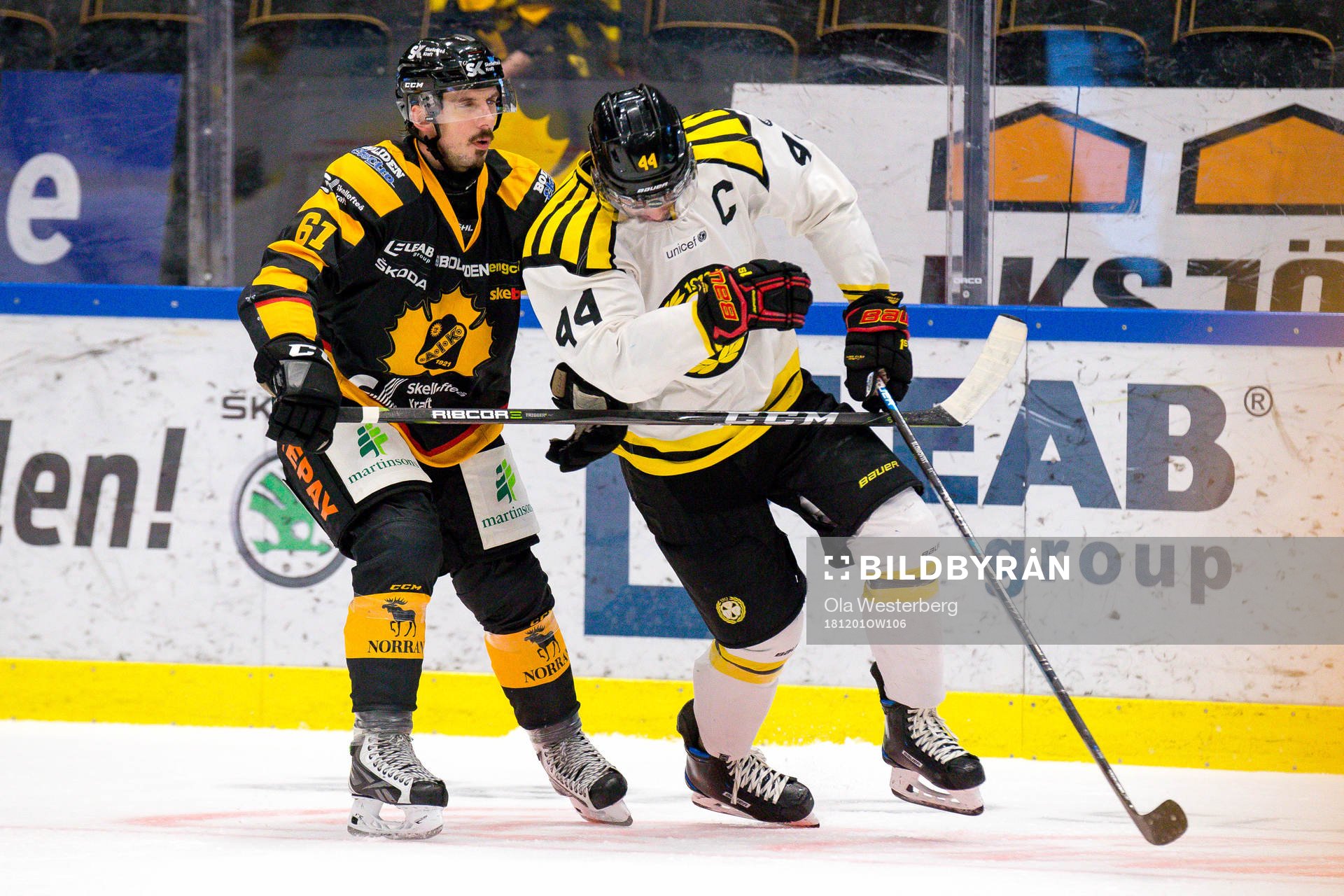 Skellefteås Fredrik Lindgren