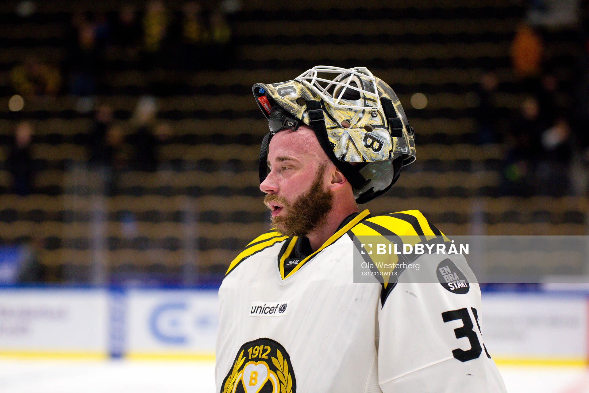 Brynäs målvakt David Rautio