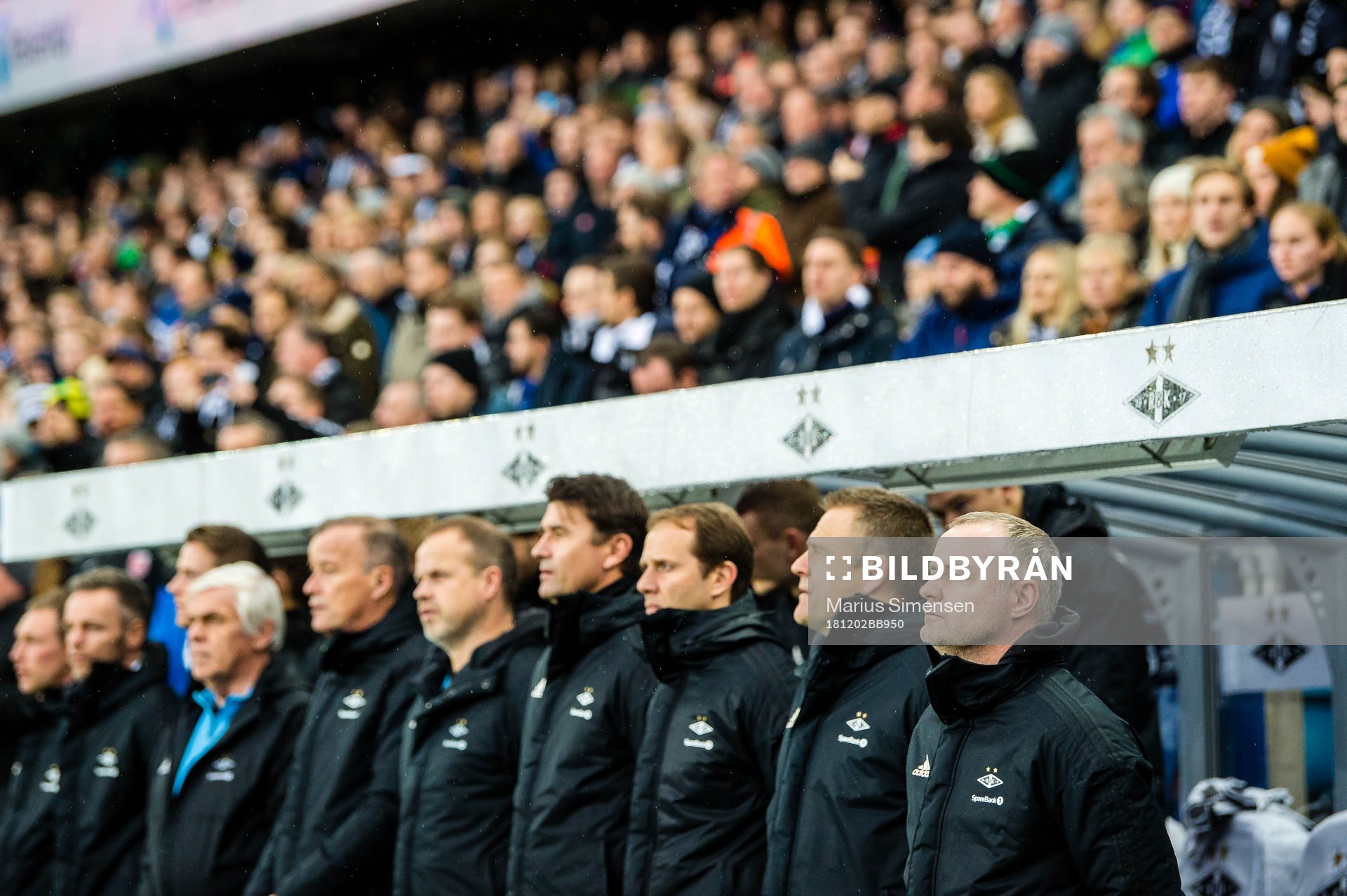 Rini Coolen, head coach of Rosenborg