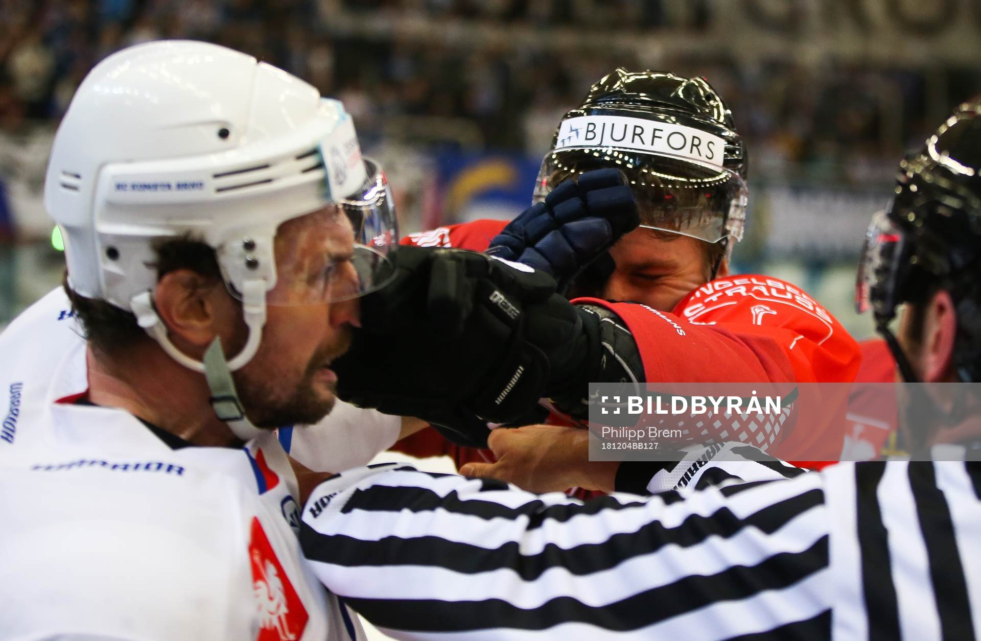 Ishockey, CHL BRNO,CZECH REPUBLIC,04.DEC.18 - ICE HOCKEY -