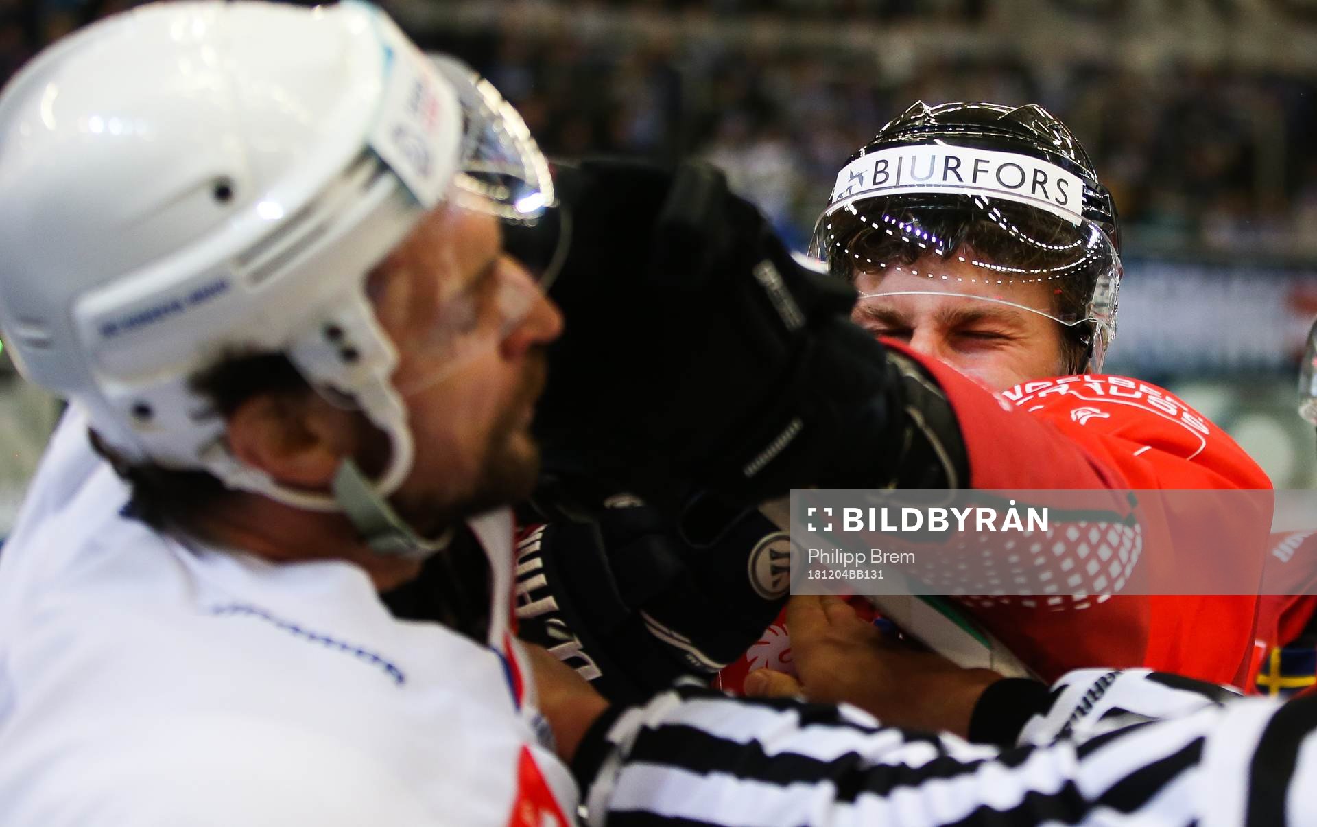 Ishockey, CHL BRNO,CZECH REPUBLIC,04.DEC.18 - ICE HOCKEY -