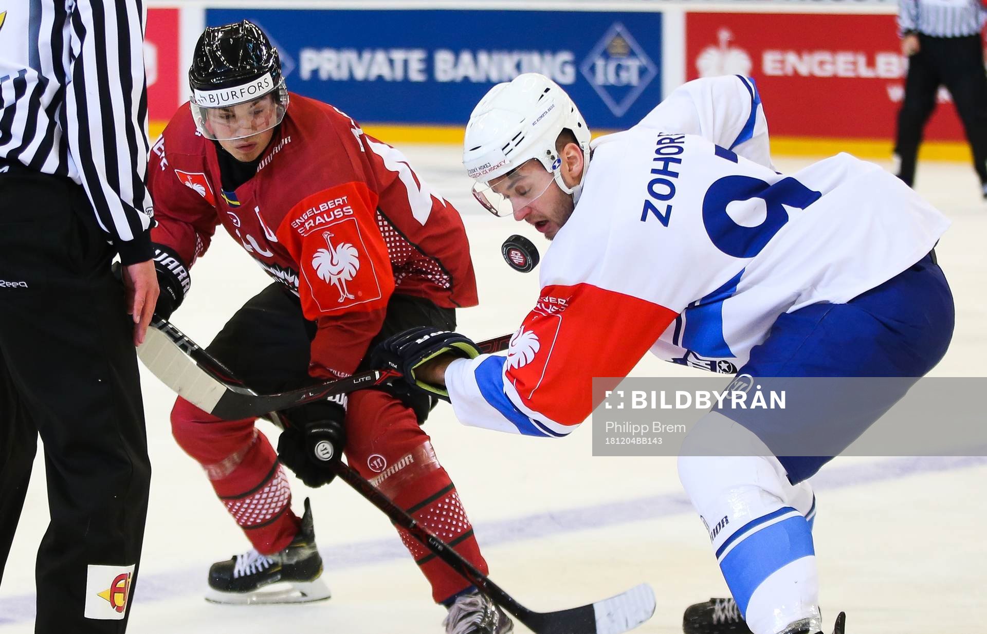 Ishockey, CHL BRNO,CZECH REPUBLIC,04.DEC.18 - ICE HOCKEY -