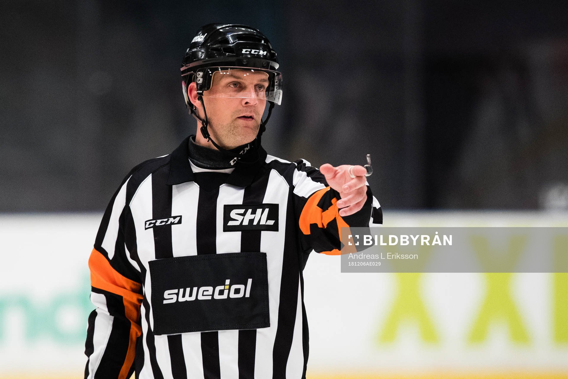 Domare Mikael Nord