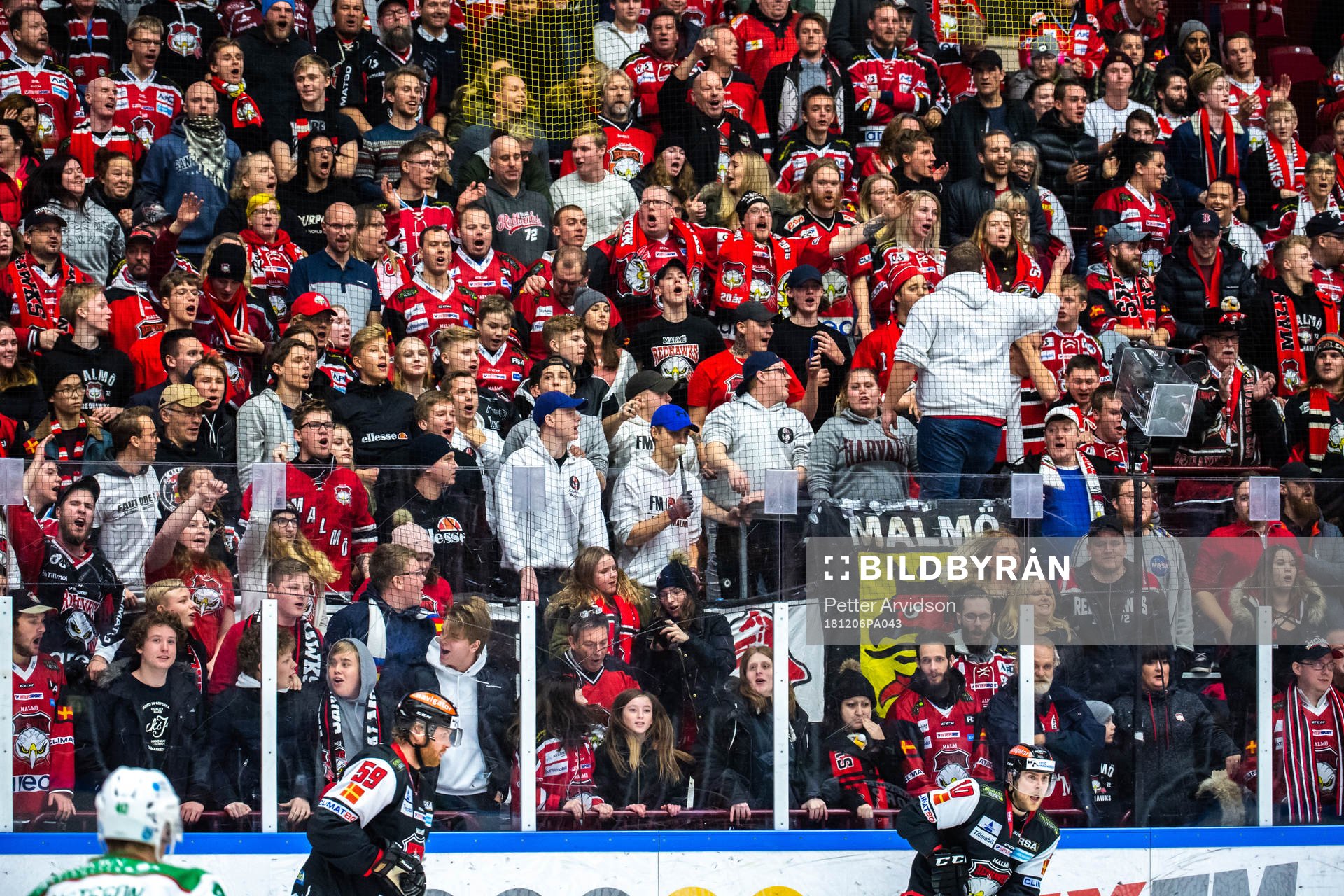 Malmö Redhawks supportrar jublar