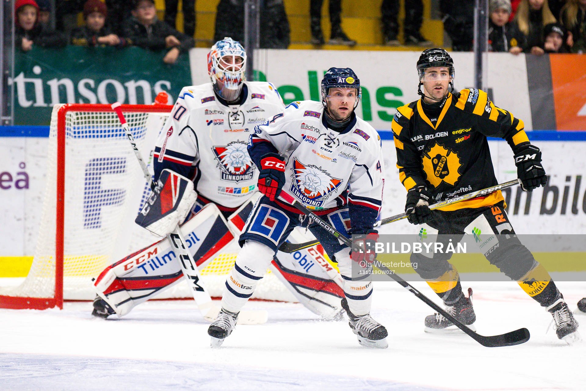 Skellefteås Bud Holloway