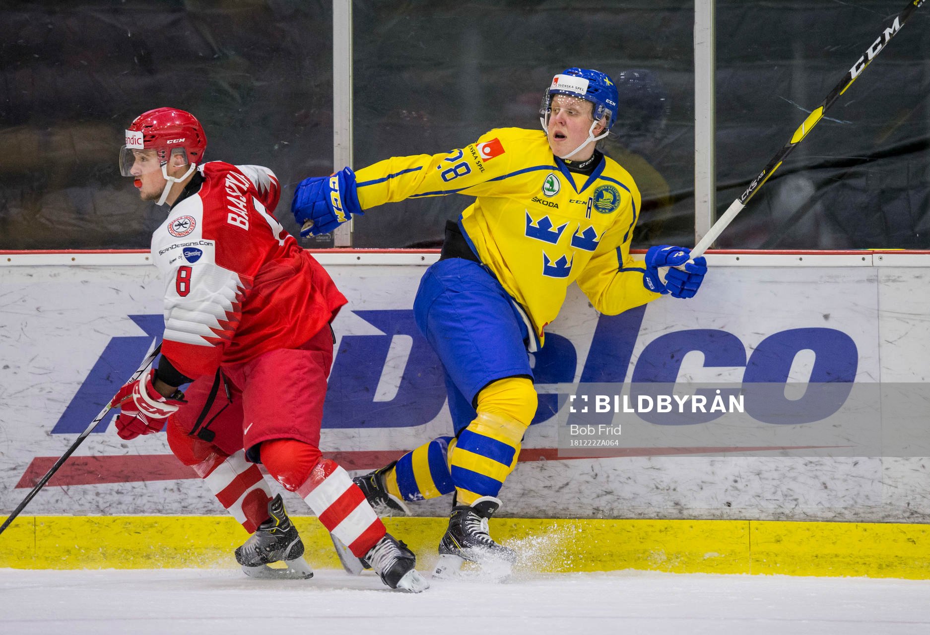 Denmark defenceman Daniel Andersen (8)  checks Sweden