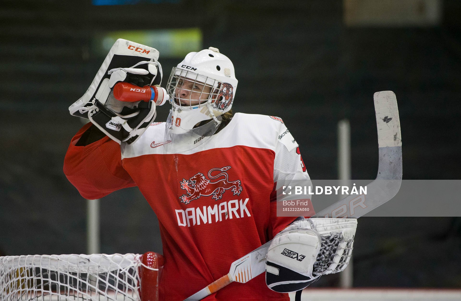Denmark goalie Mads Søgaard (30)
