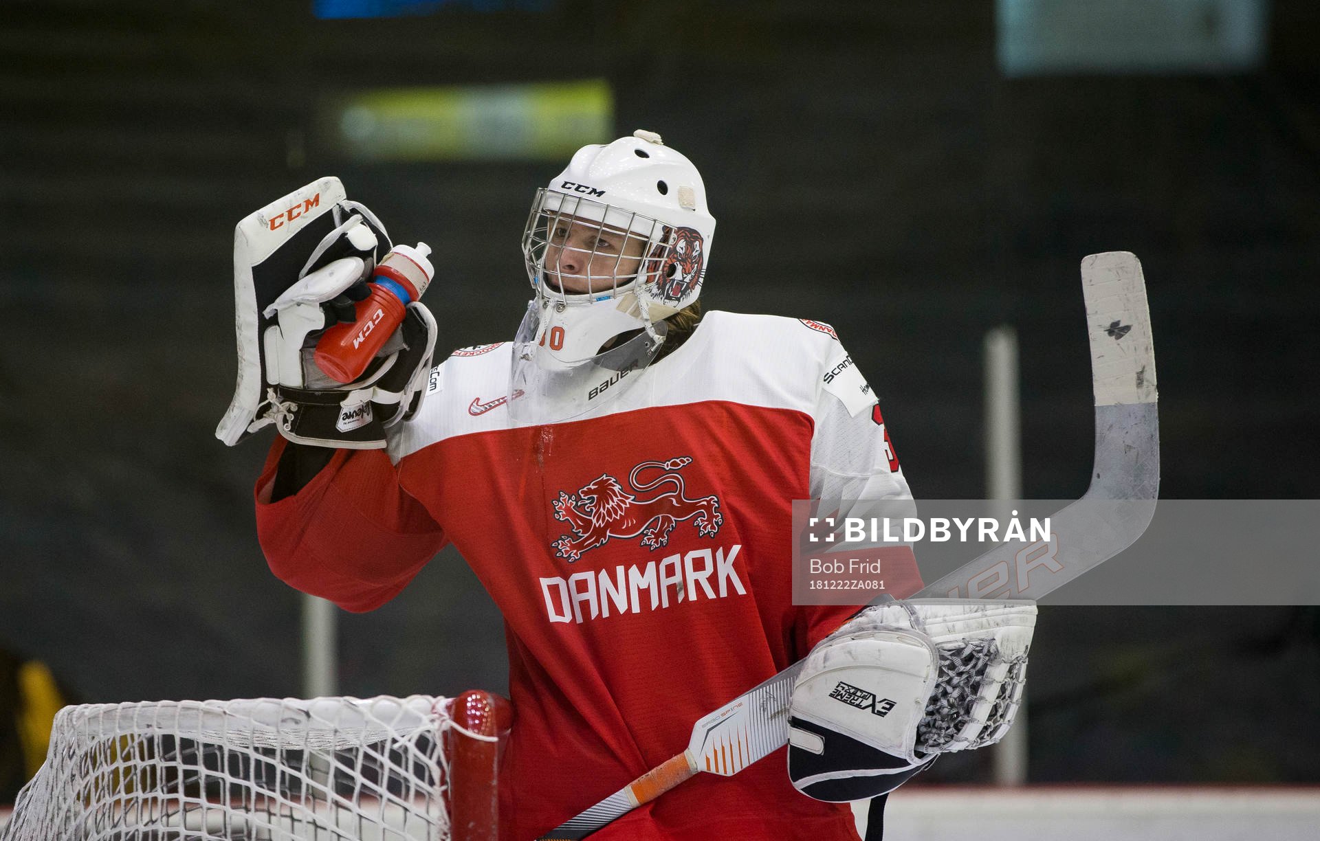 Denmark goalie Mads Søgaard (30)